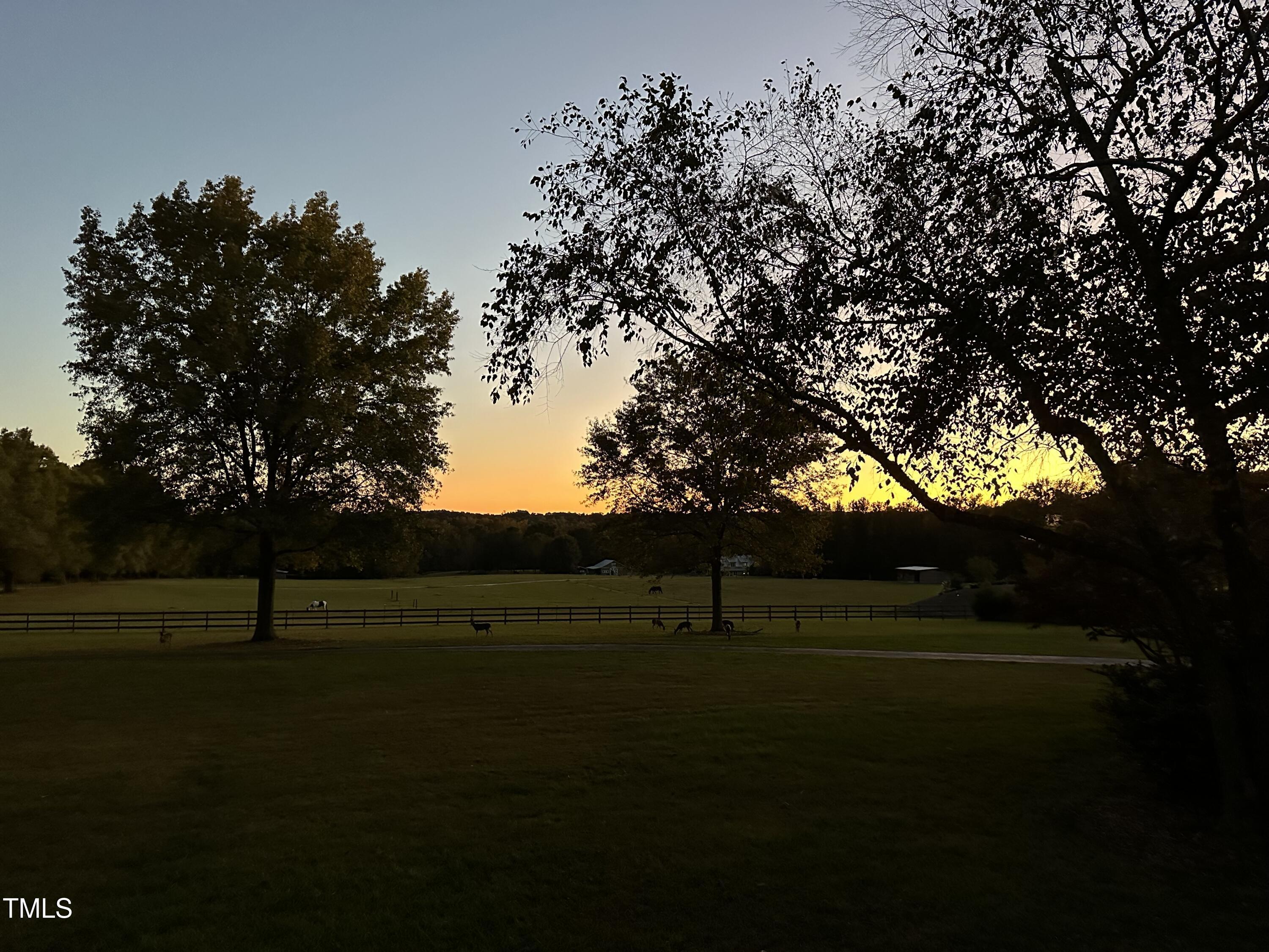 Photo #61