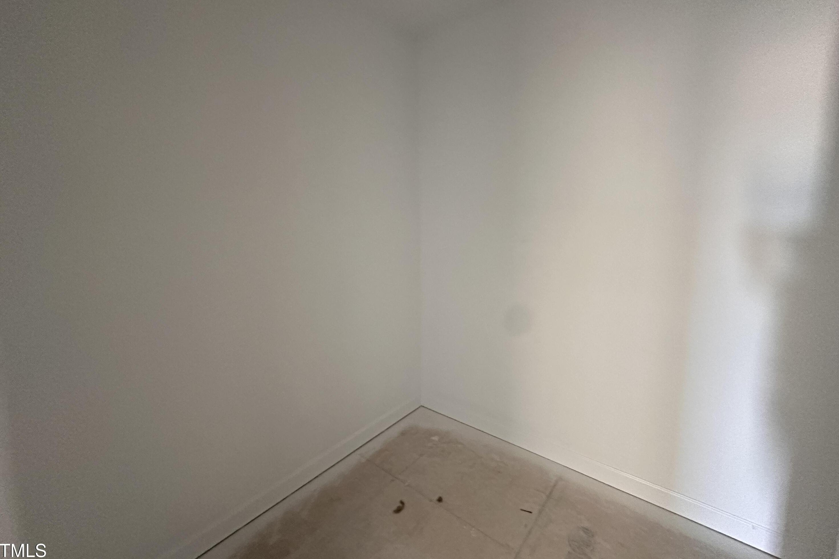 Photo #12