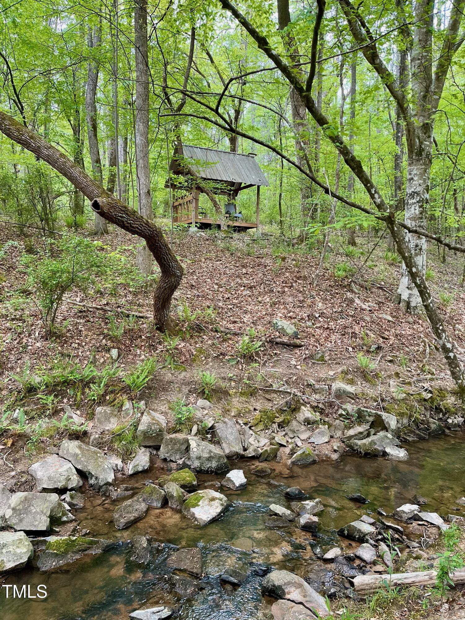 Photo #3