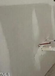 Photo #12