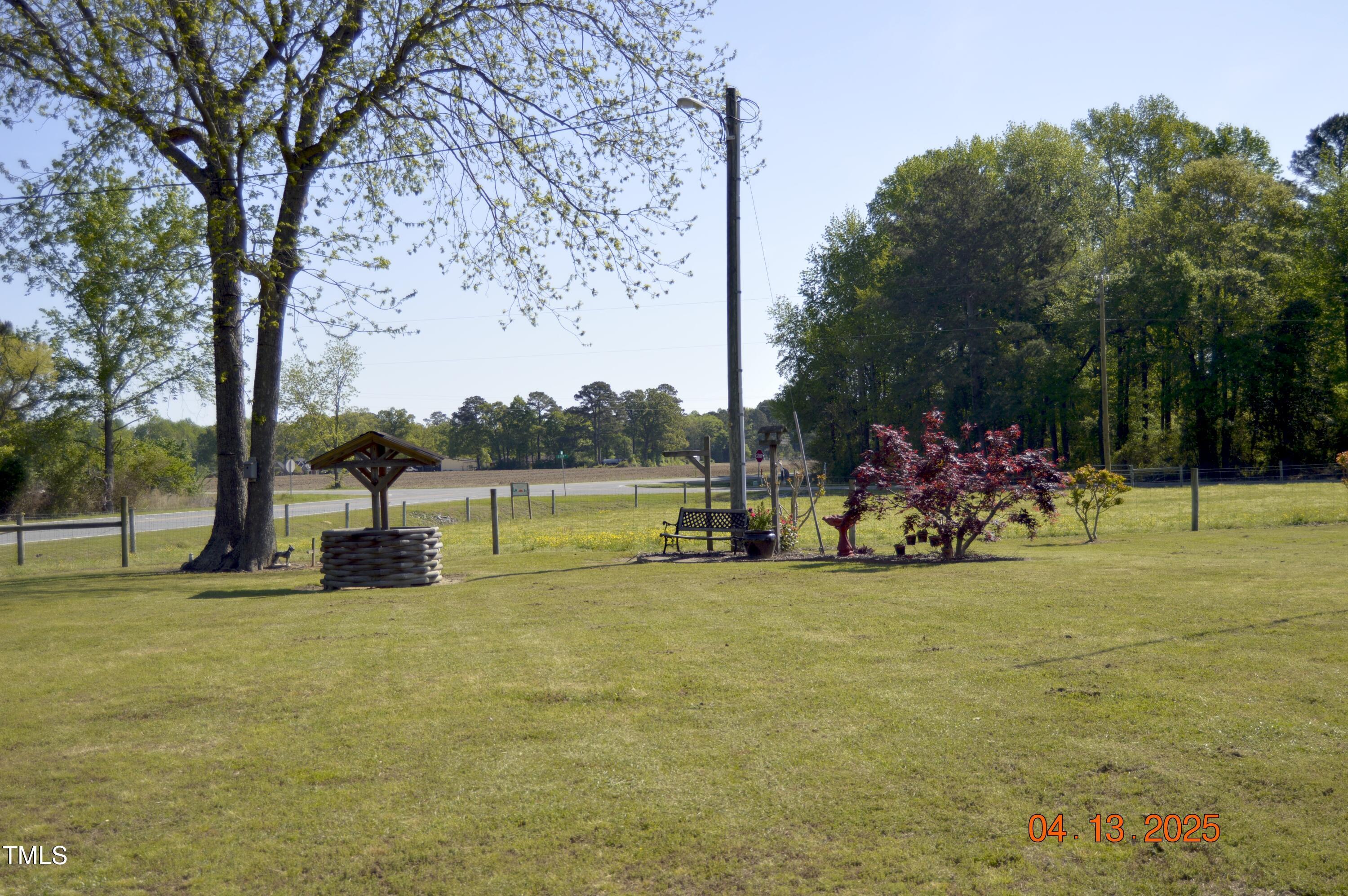 Photo #6