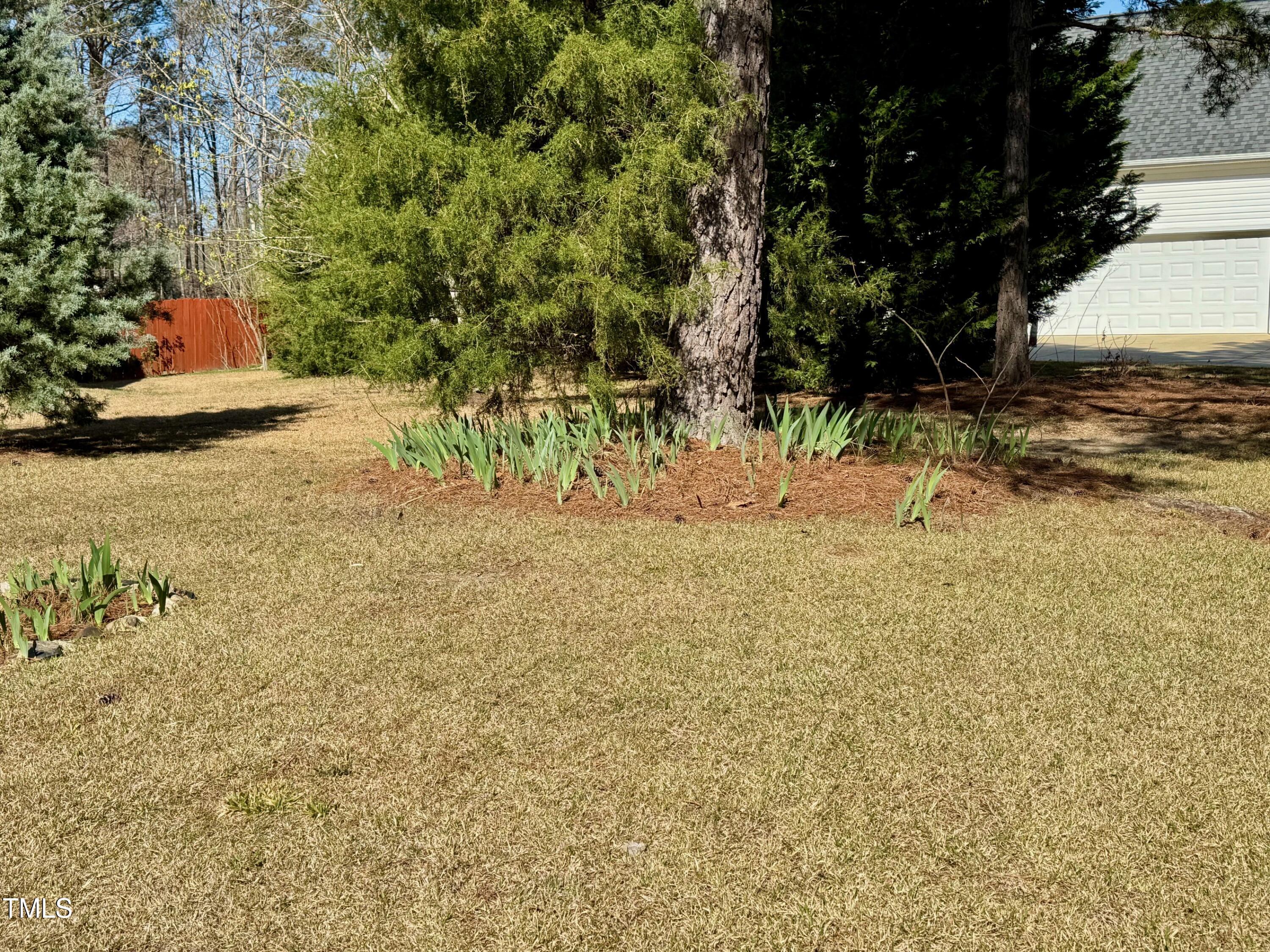 Photo #31
