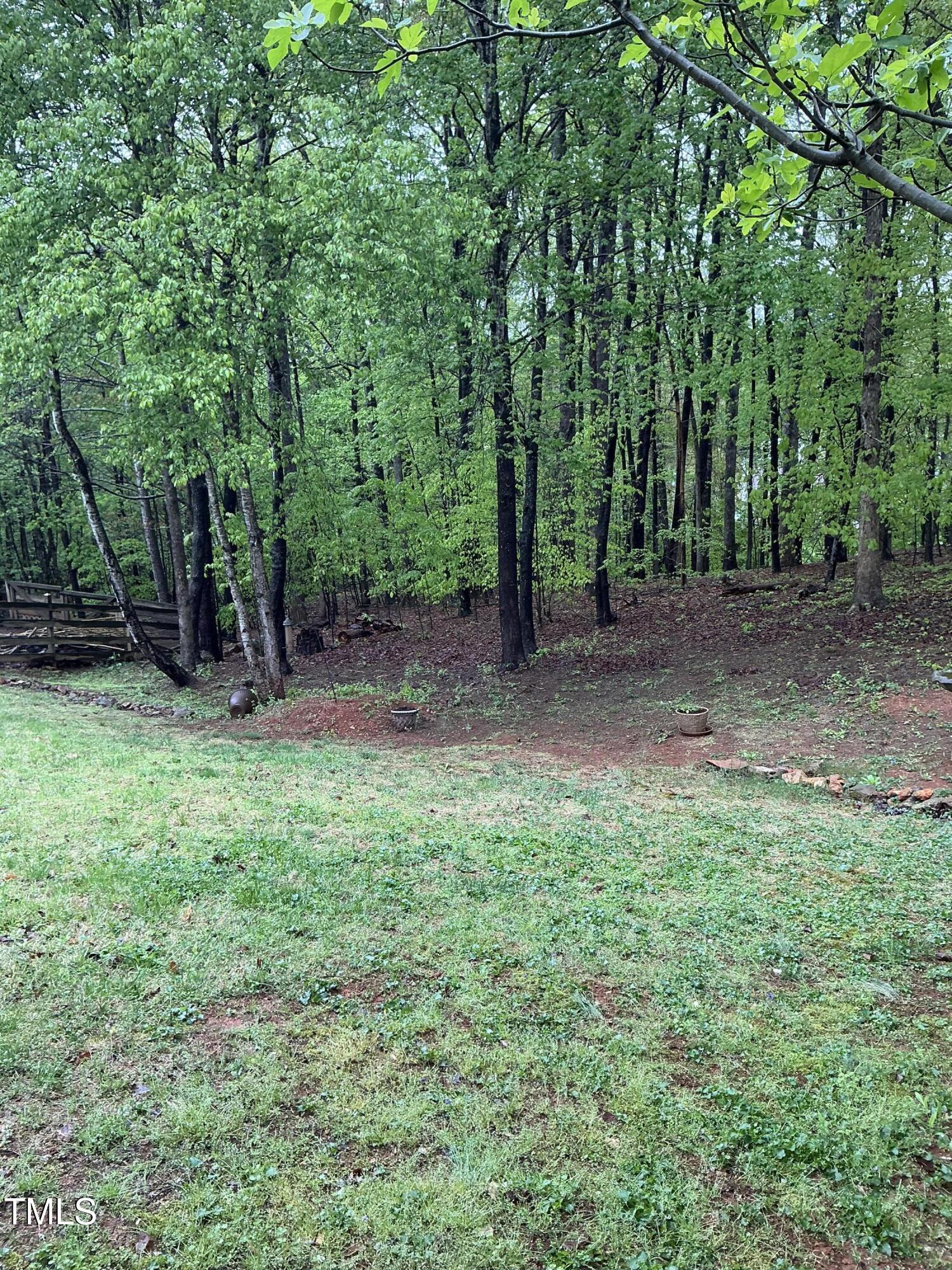 Photo #52