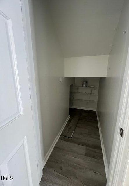 Photo #16