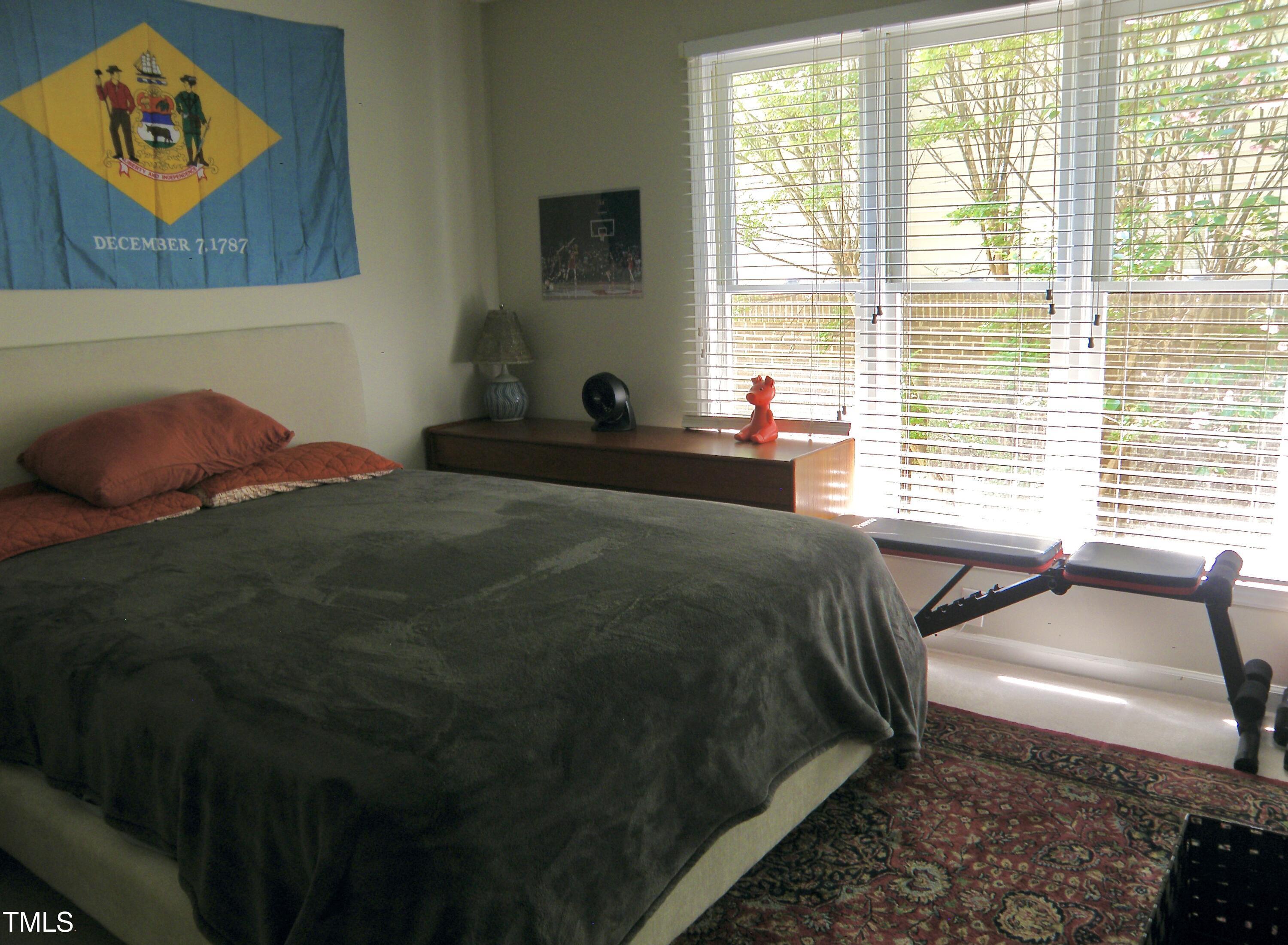 Photo #15