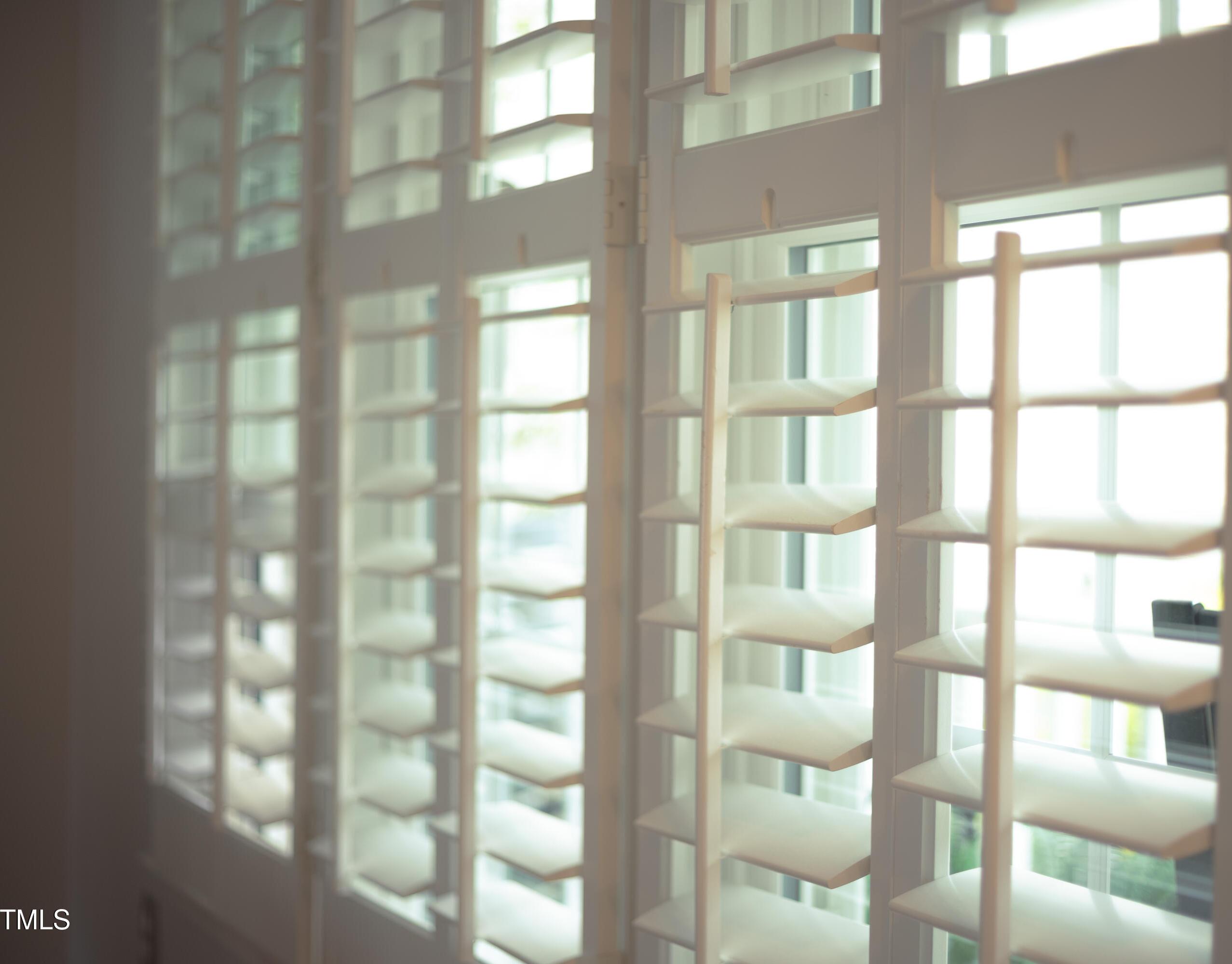 Photo #14