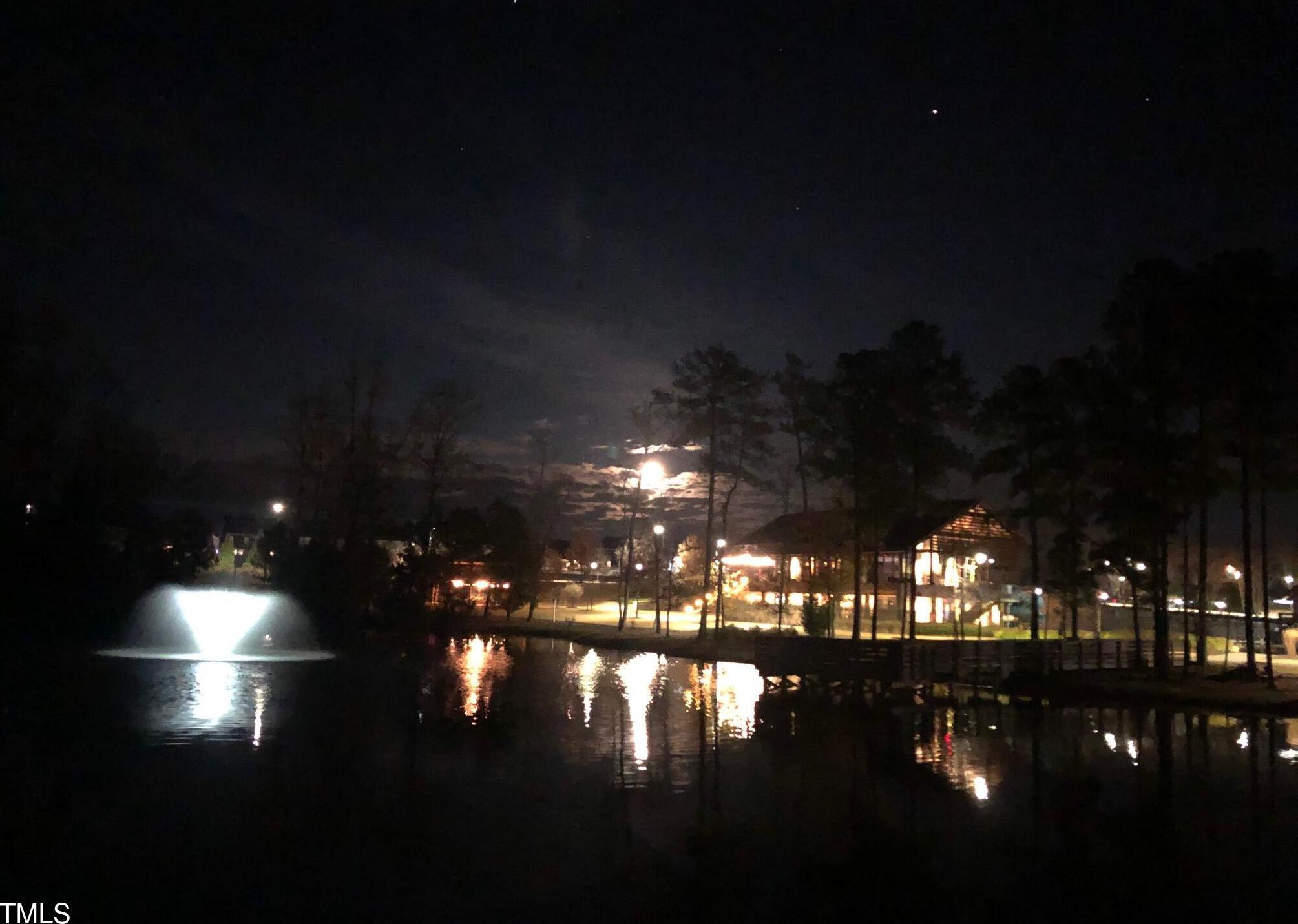 Photo #58