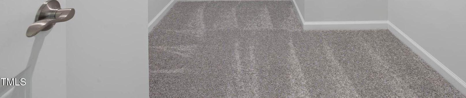 Photo #14