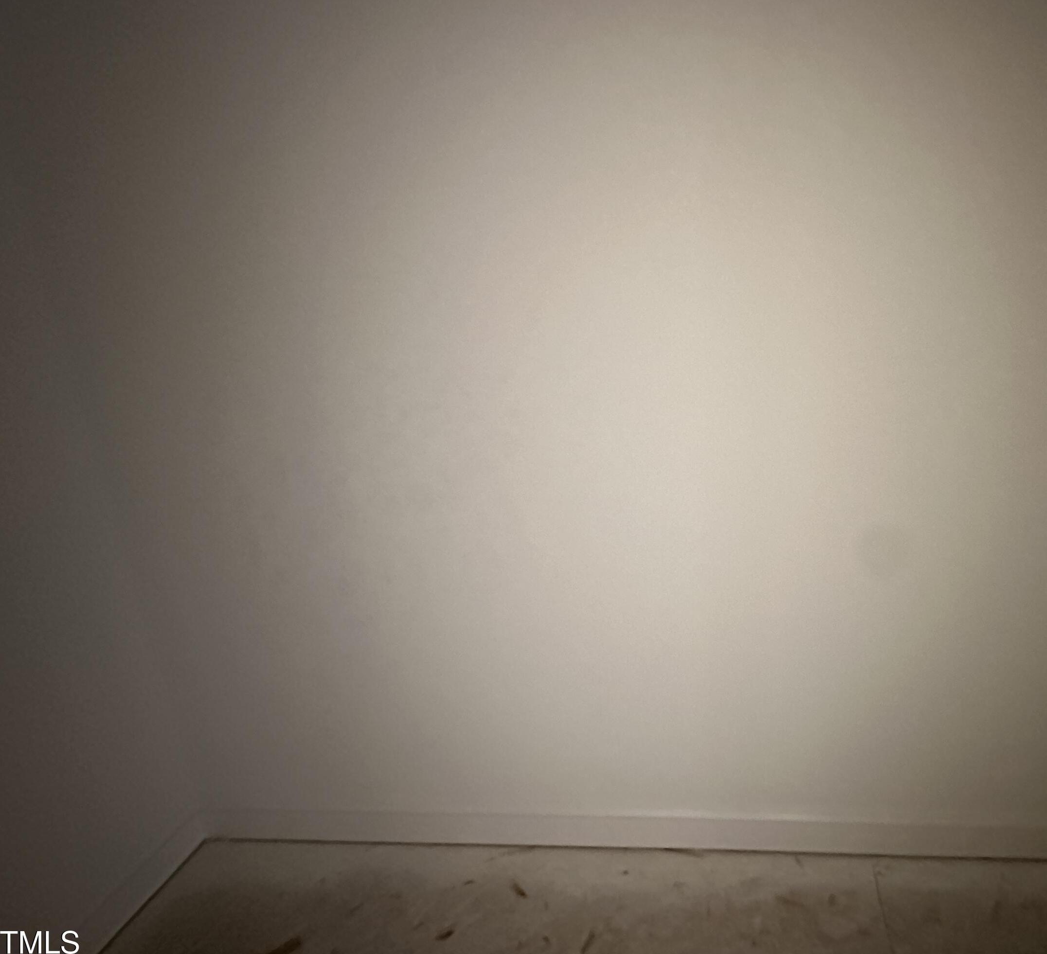 Photo #13