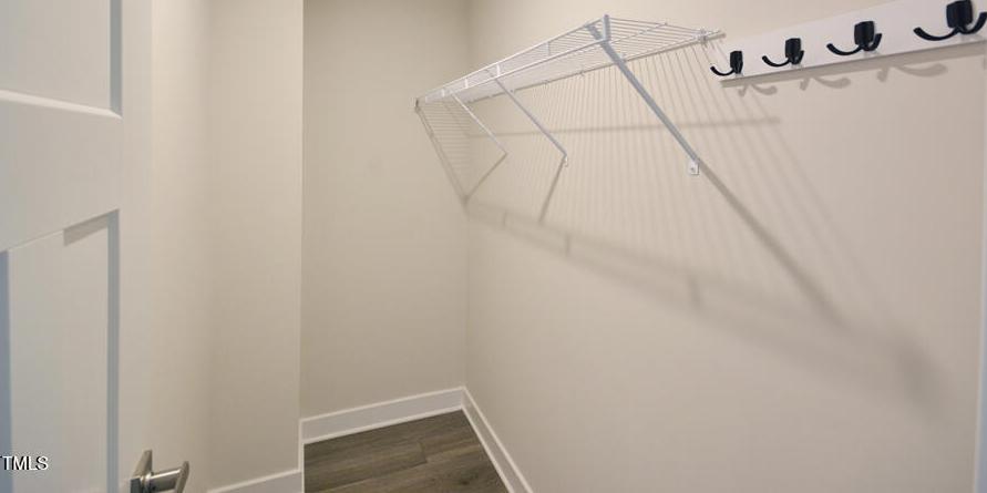 Photo #9