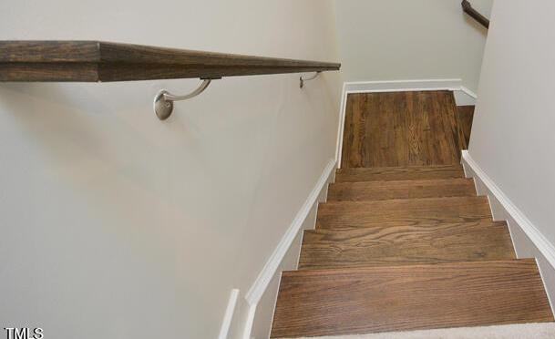 Photo #31