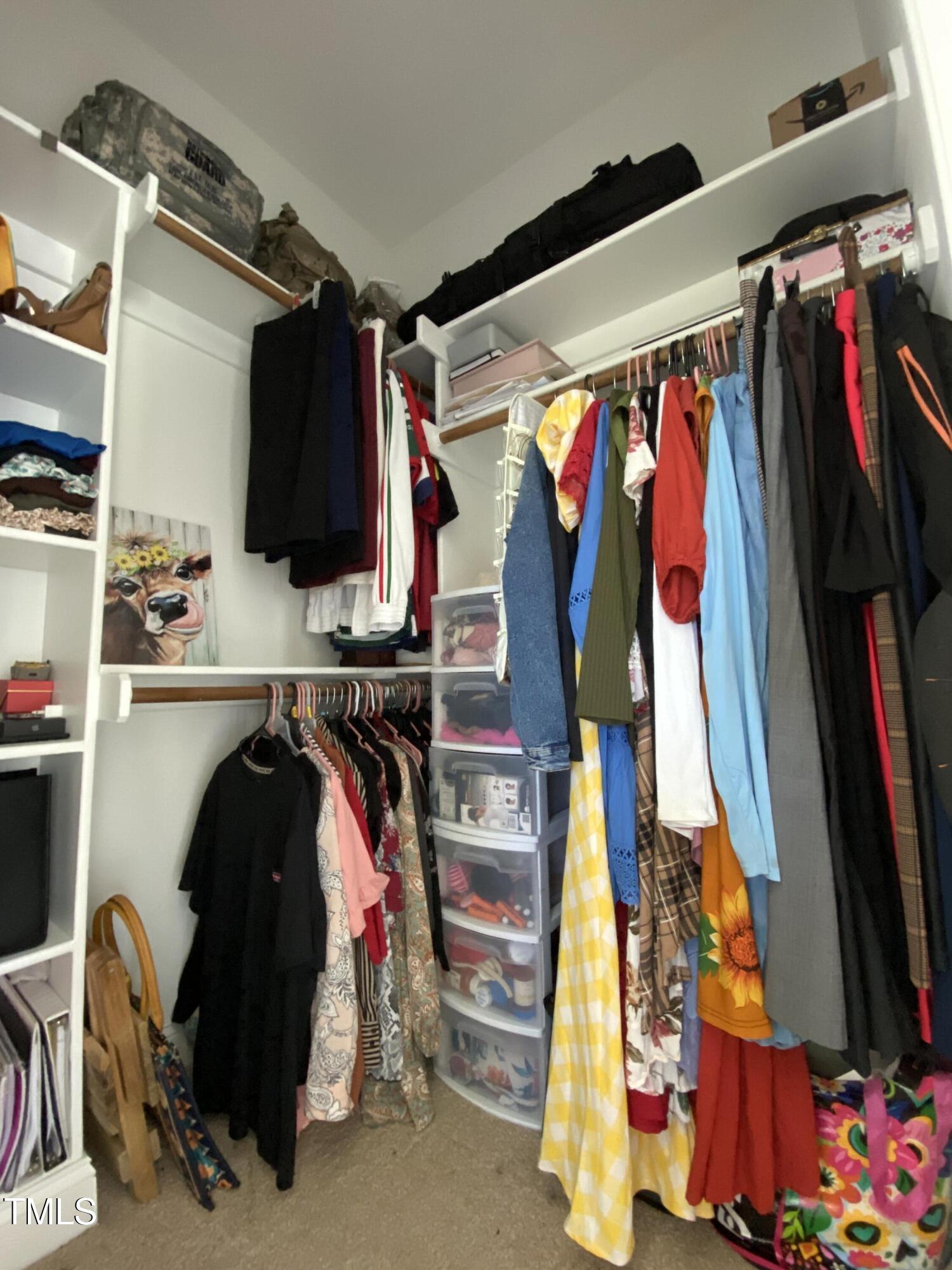 Photo #14
