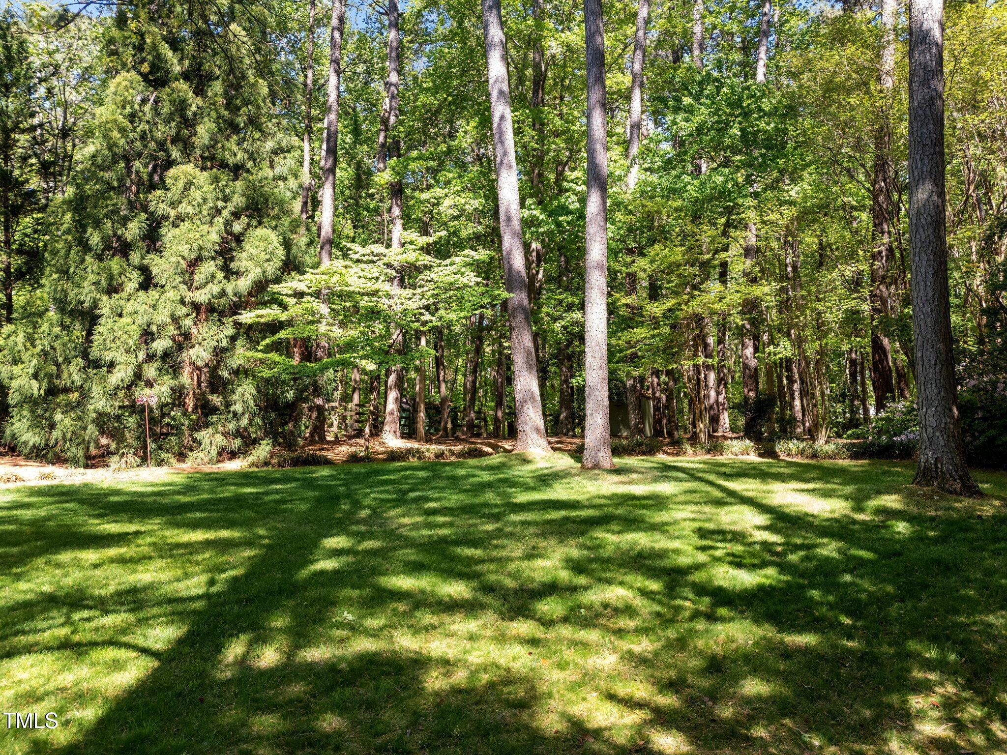 Photo #39