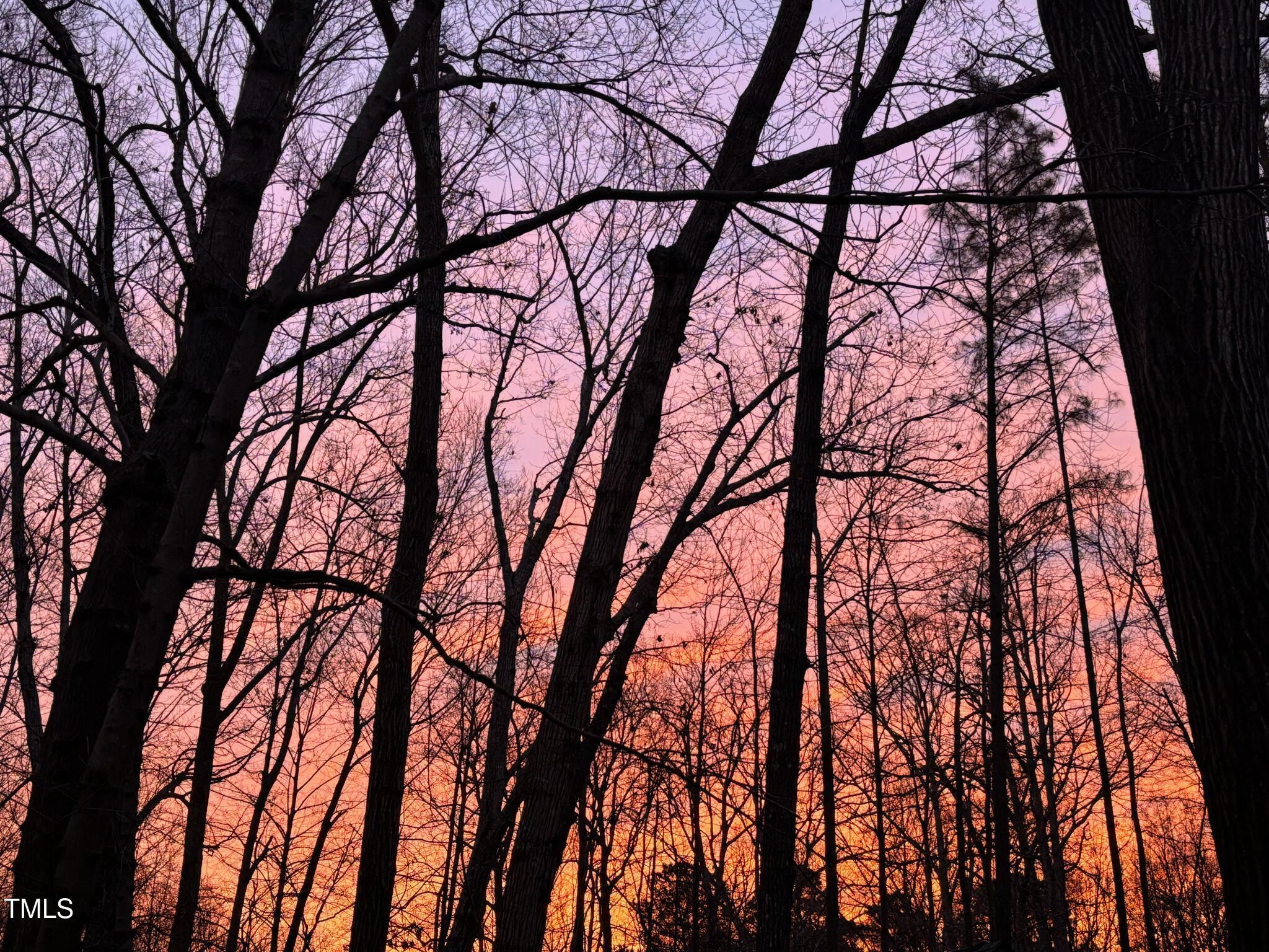 Photo #40