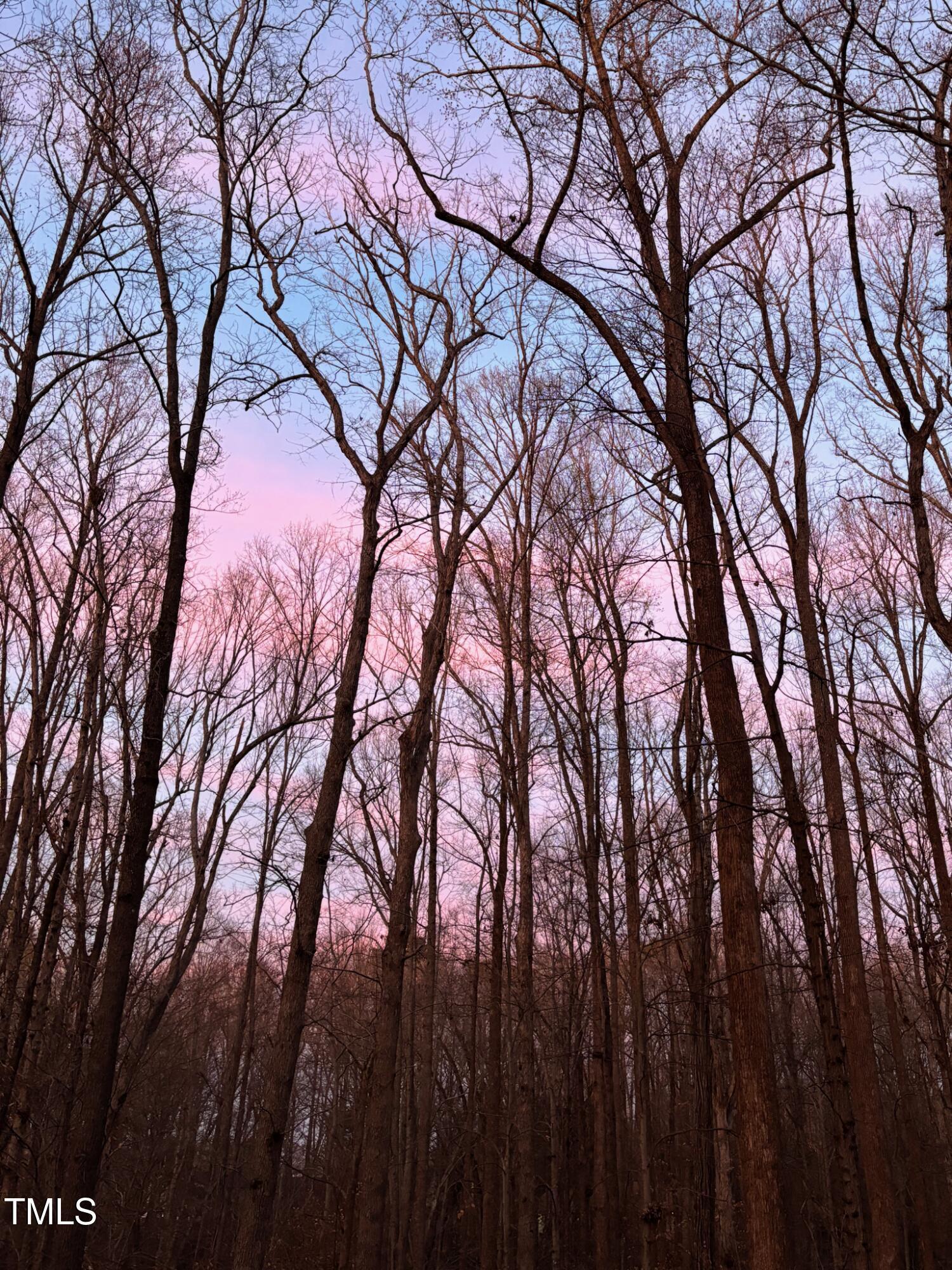Photo #39