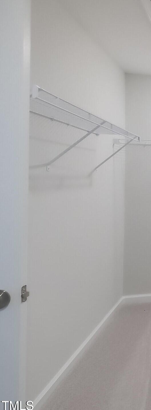 Photo #15