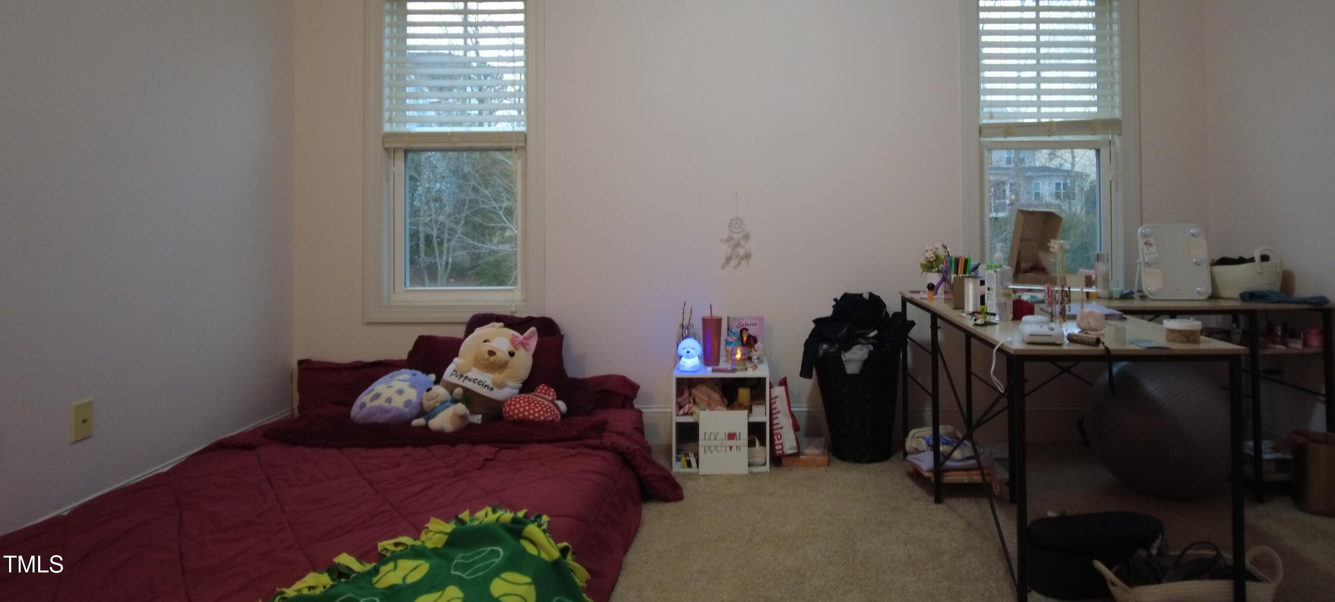 Photo #35