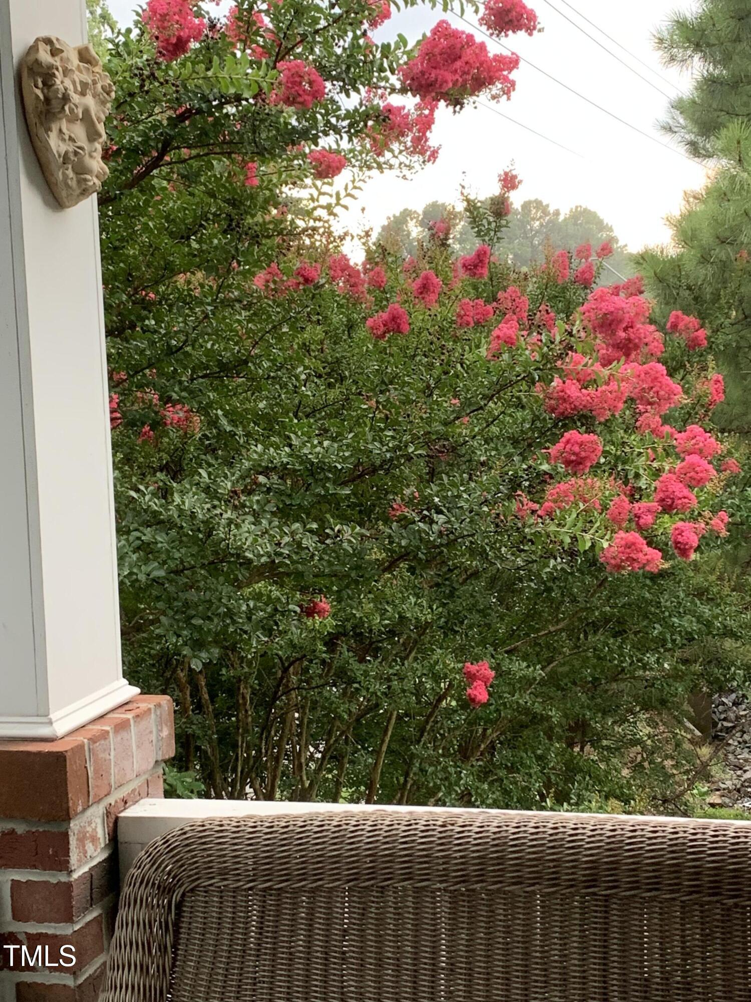 Photo #47