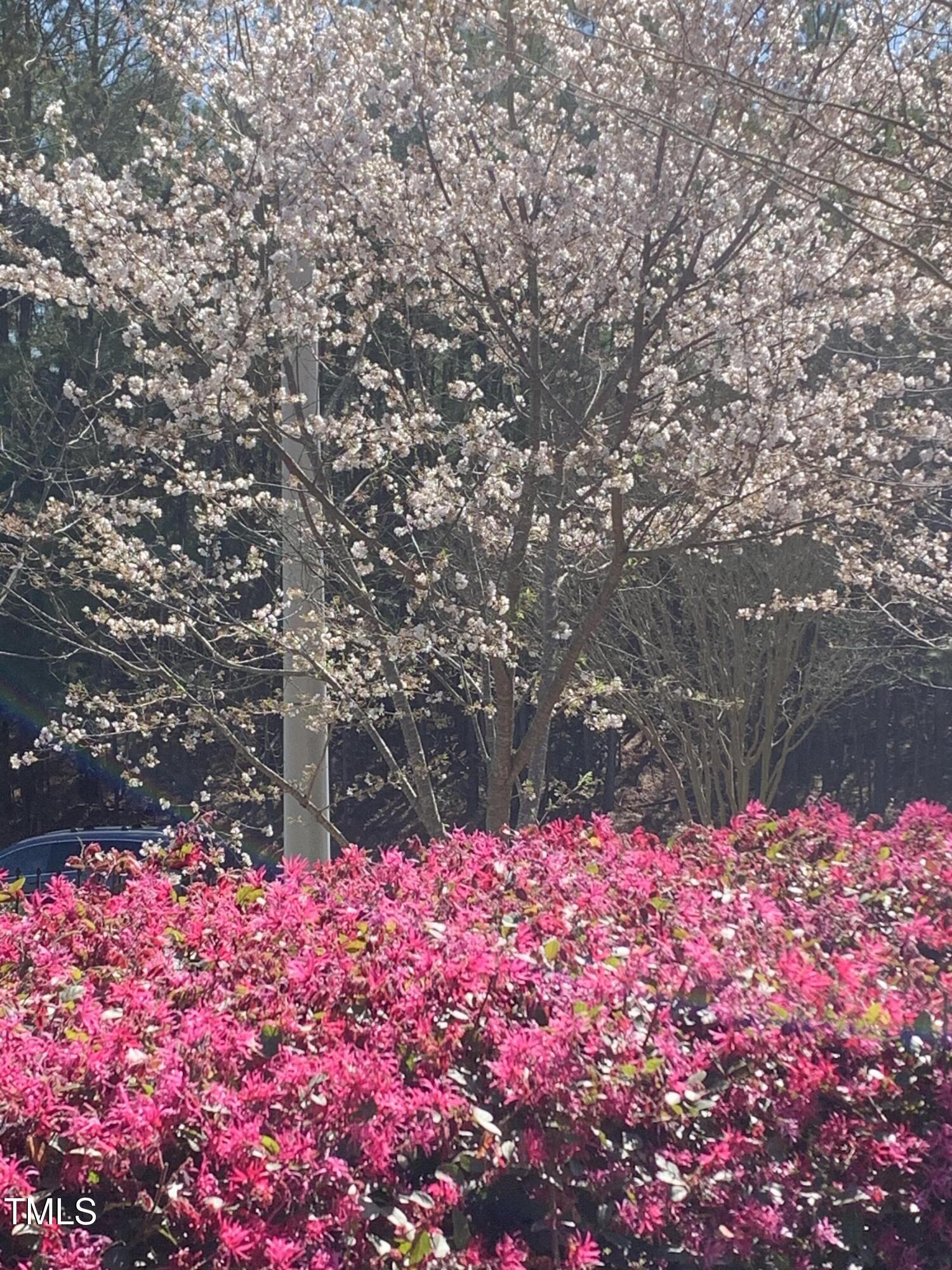 Photo #42