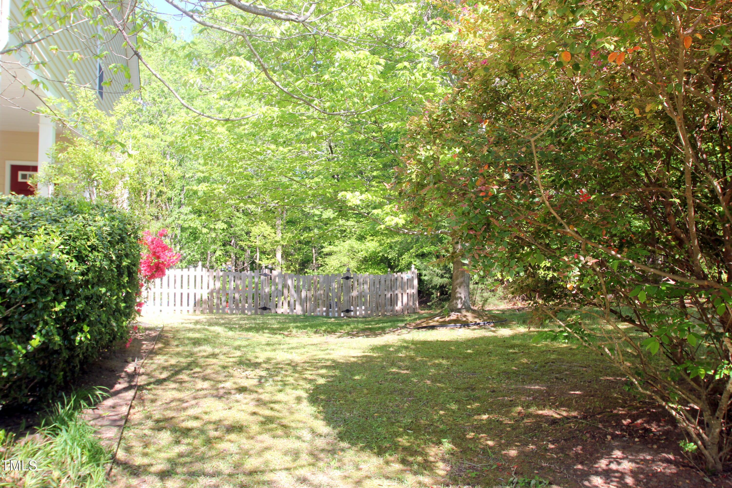 Photo #31