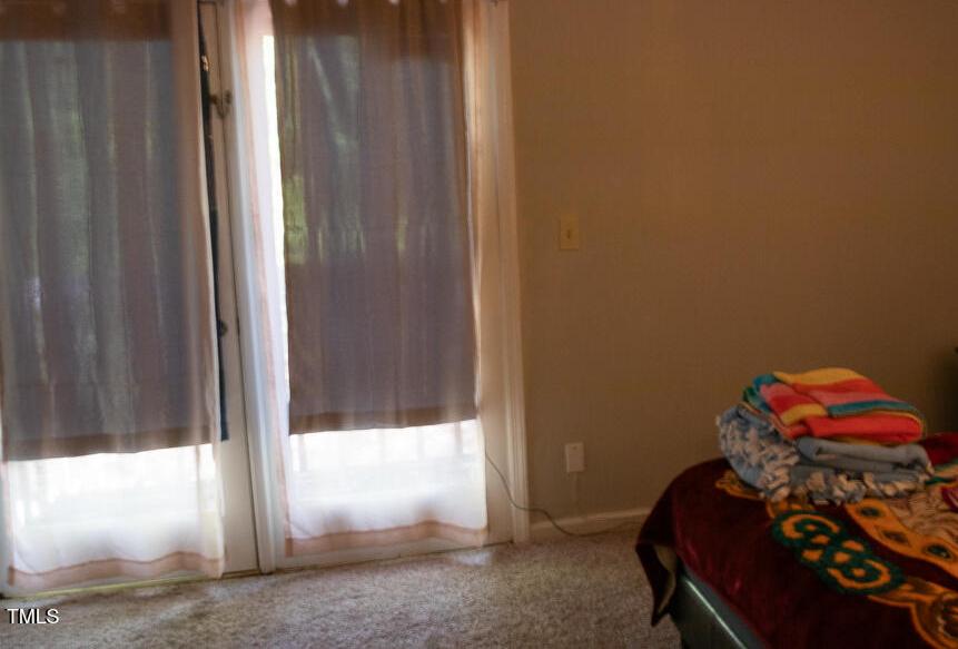 Photo #12