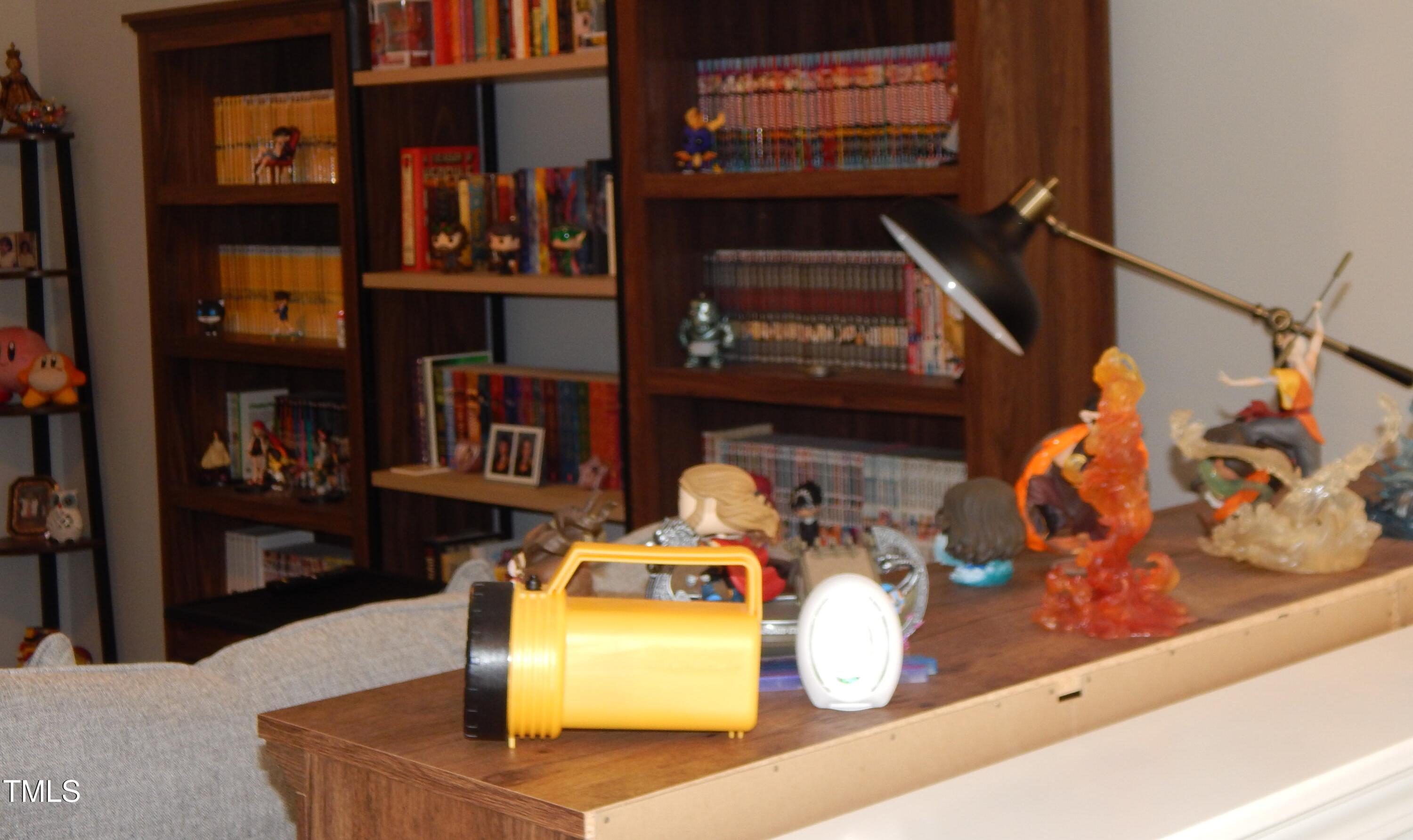 Photo #17