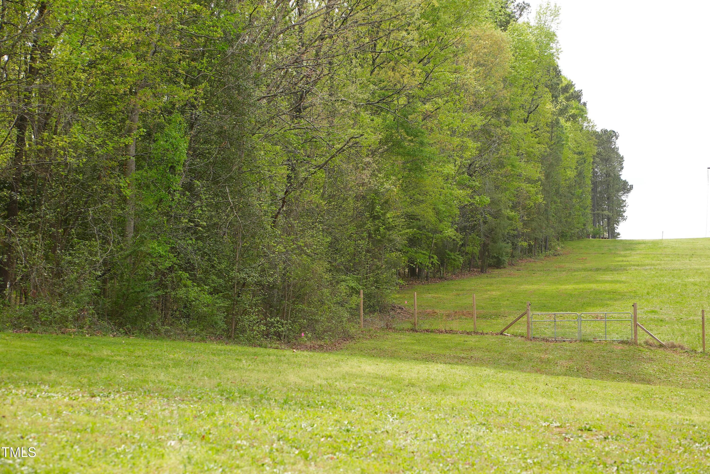 Photo #32