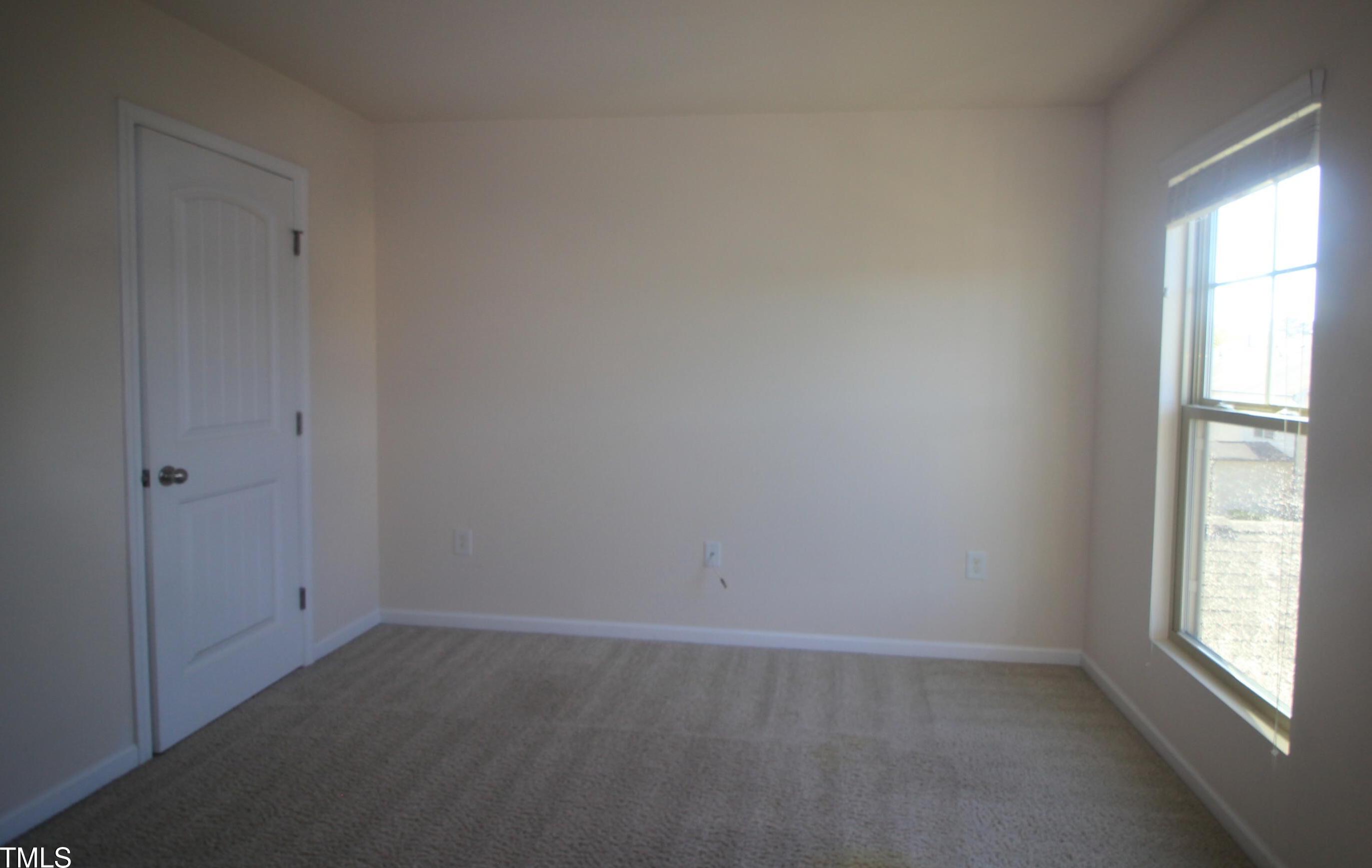 Photo #15