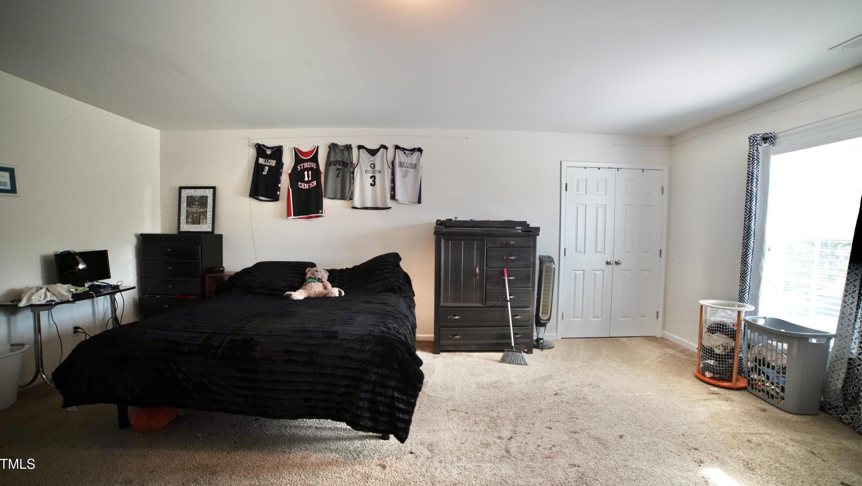 Photo #16