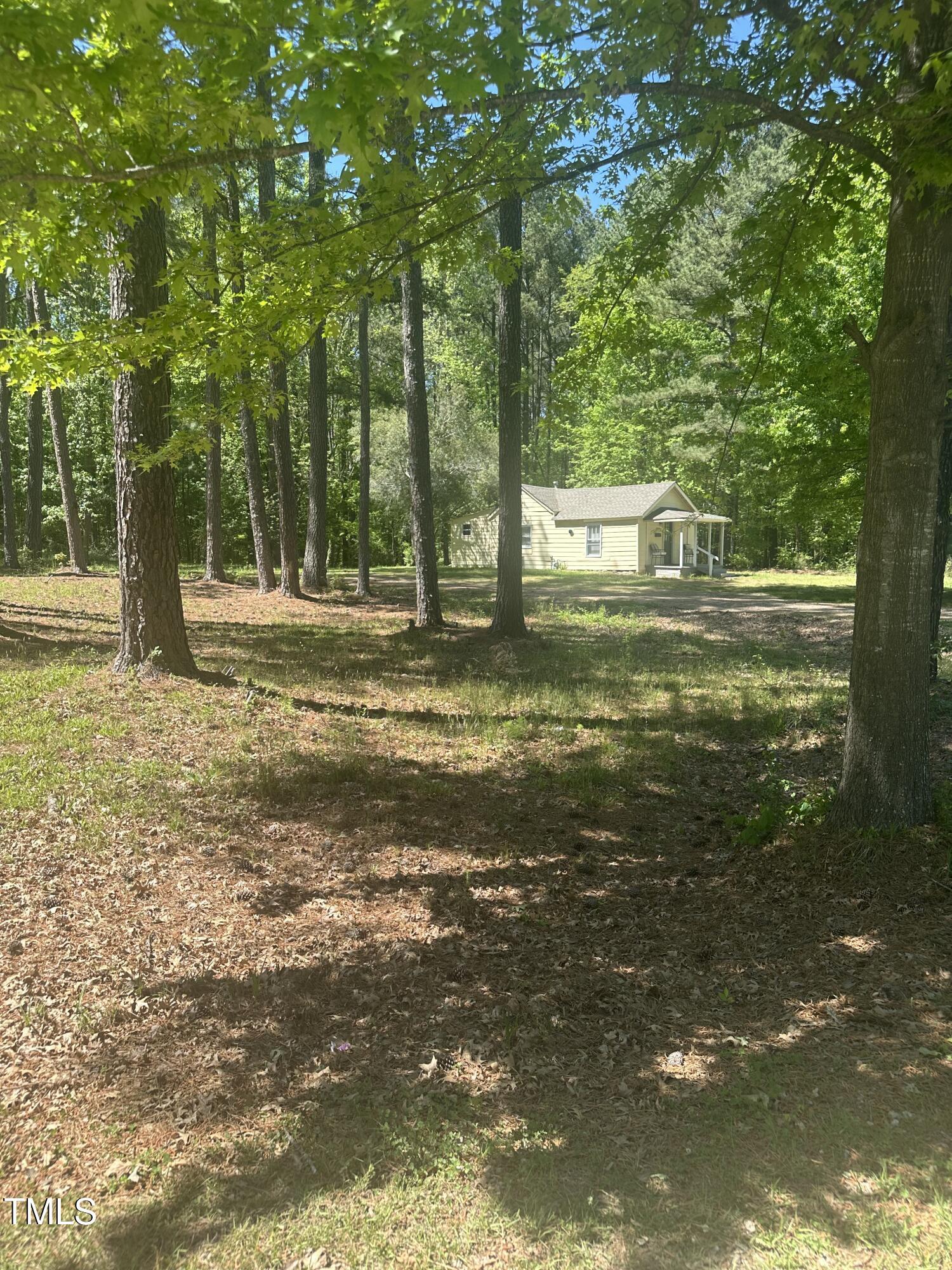 Photo #2