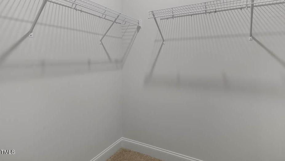 Photo #24
