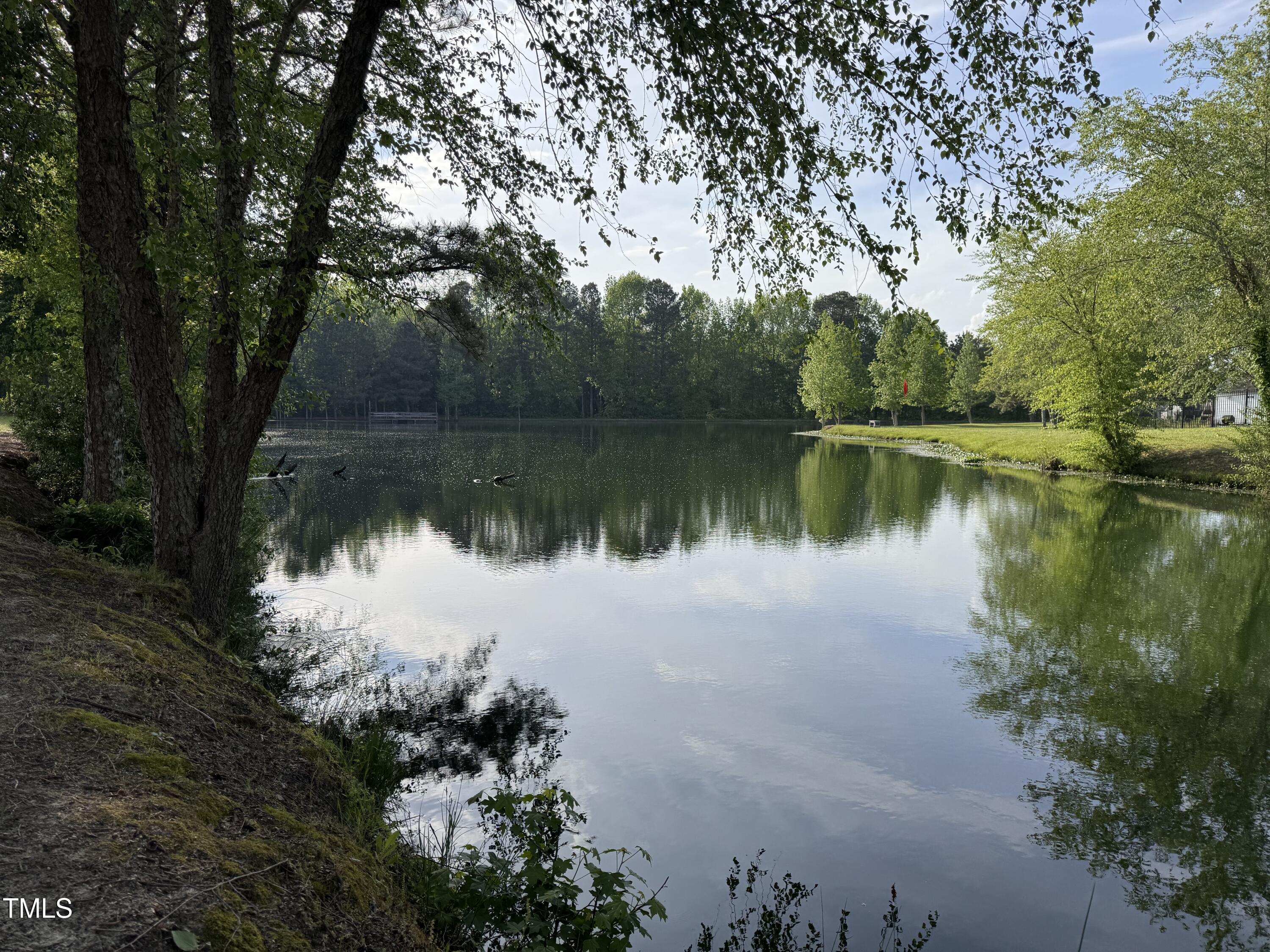 Photo #39
