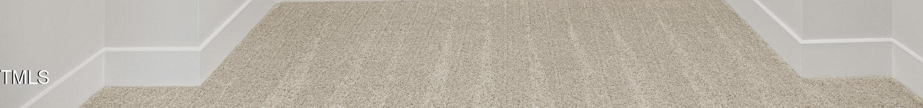 Photo #41