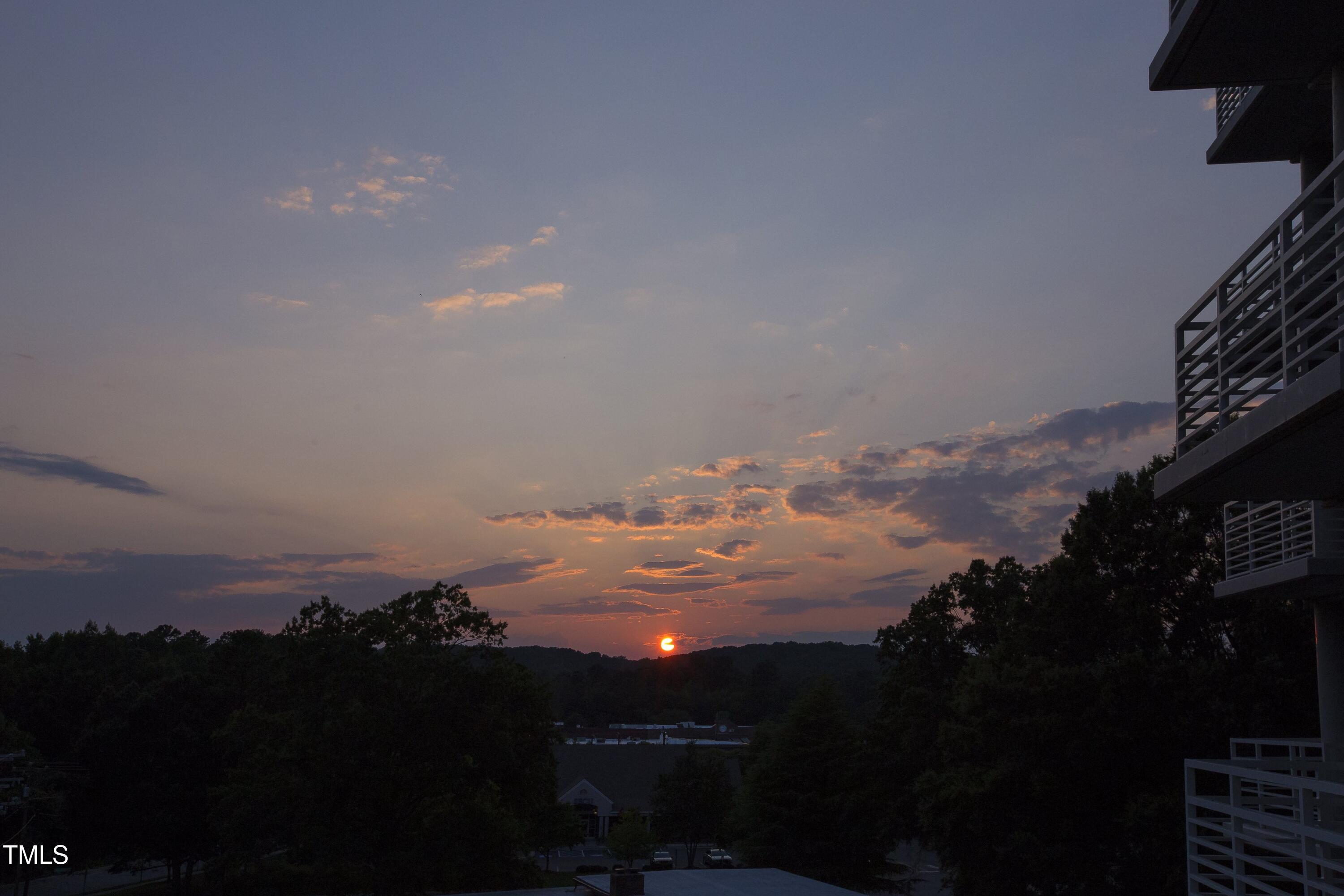 Photo #16