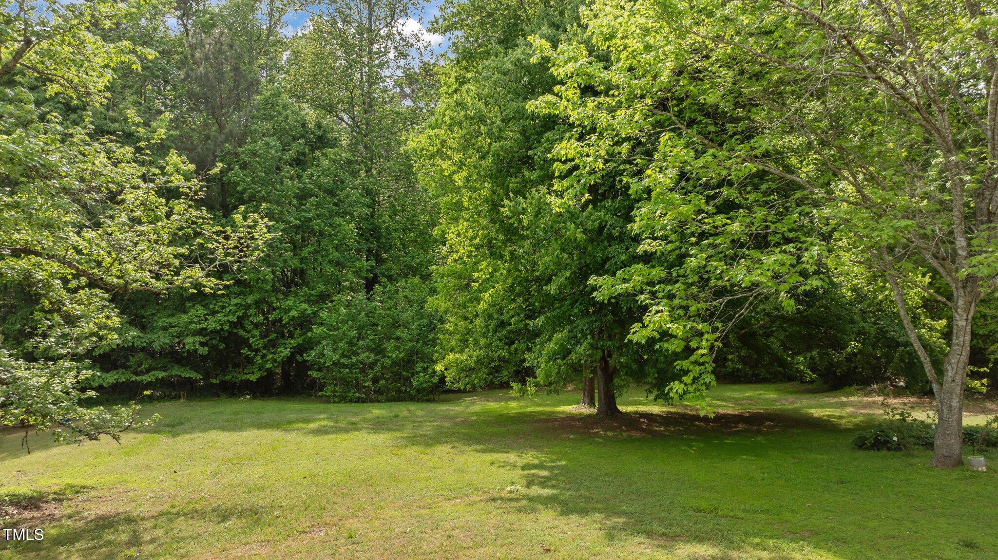 Photo #42