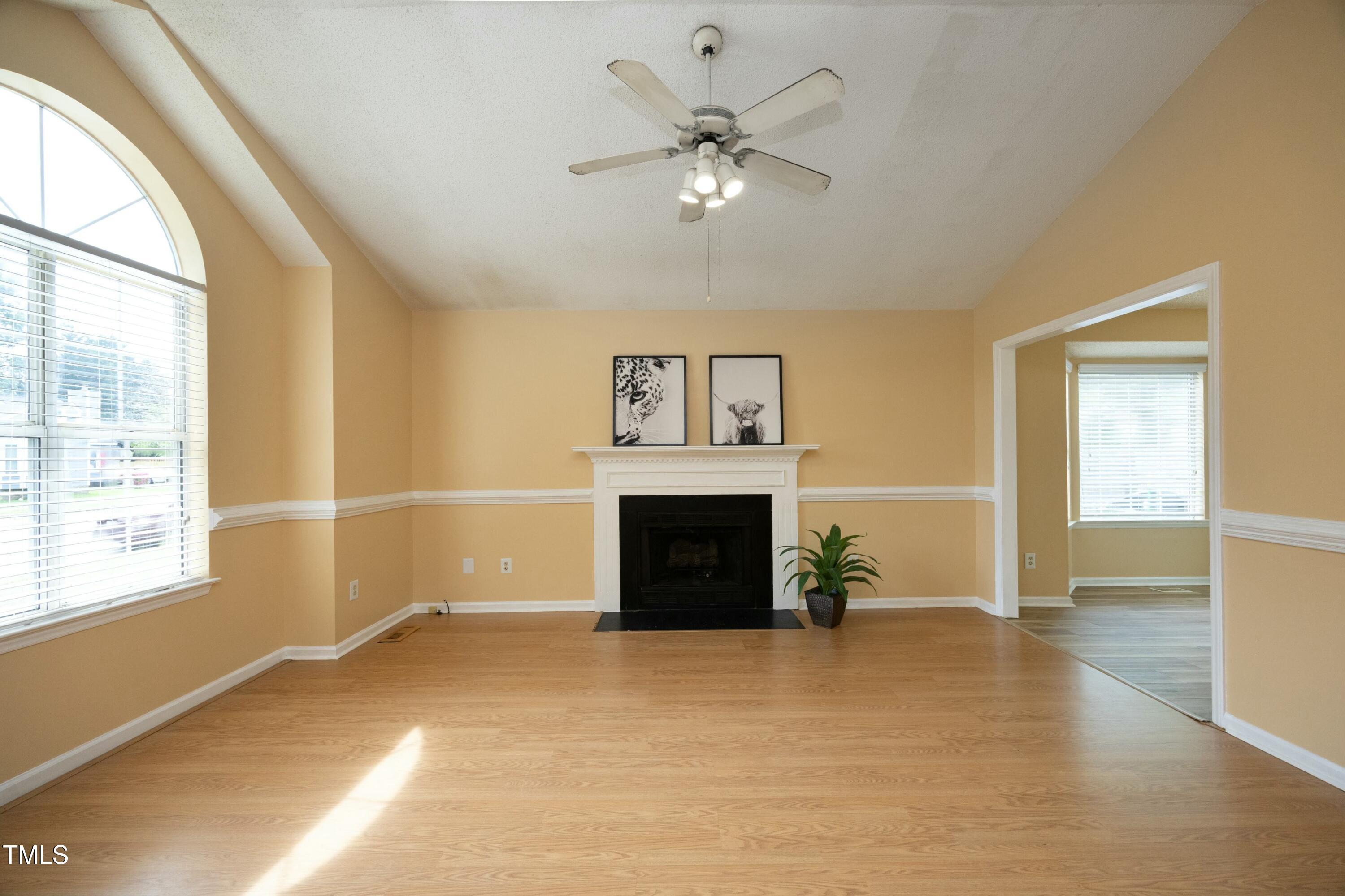 Photo #5