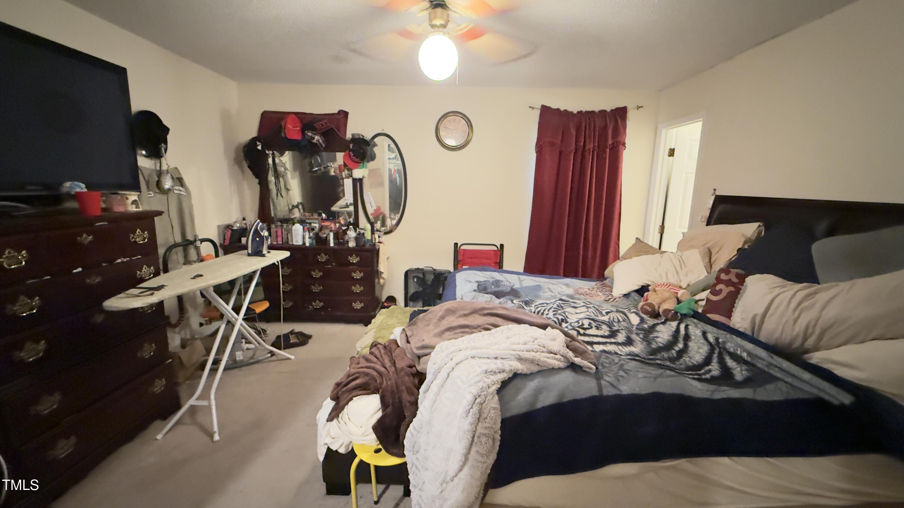 Photo #12