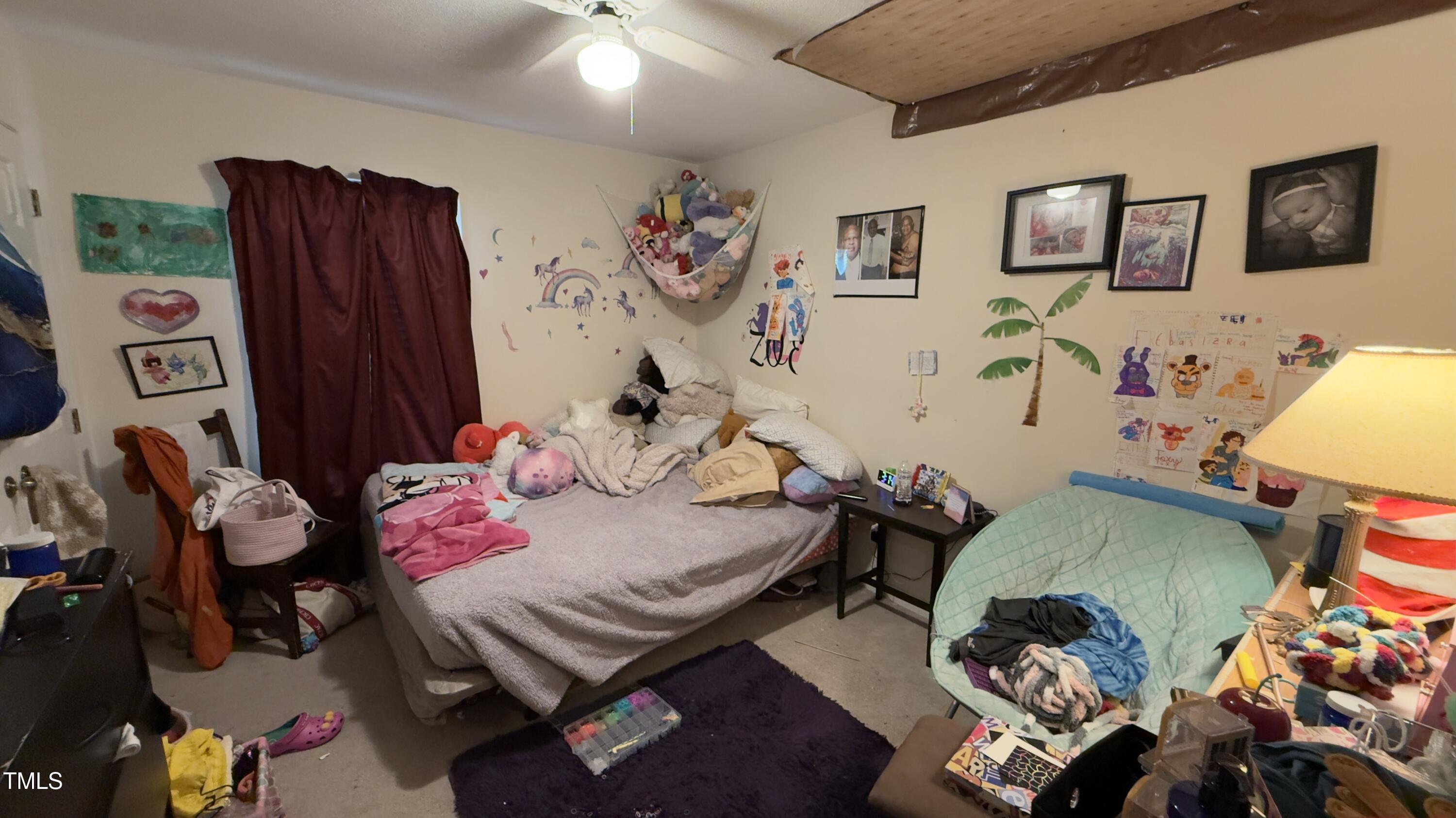 Photo #11