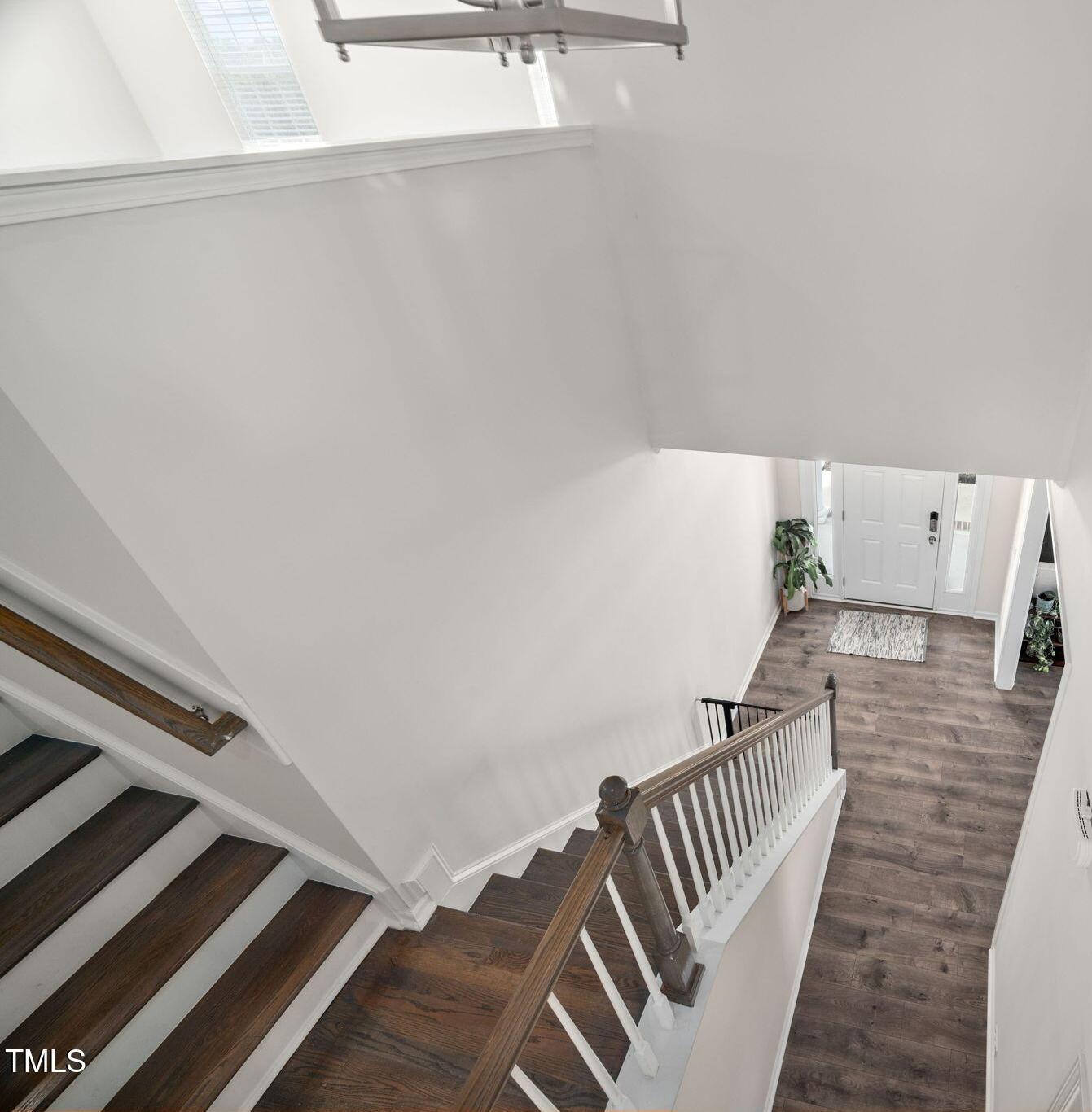 Photo #15