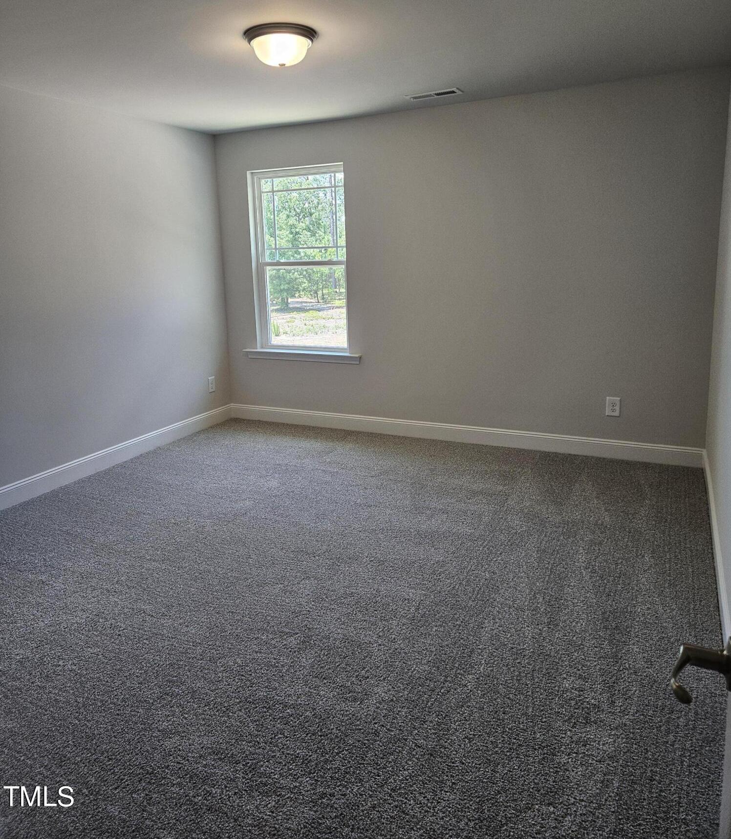 Photo #24
