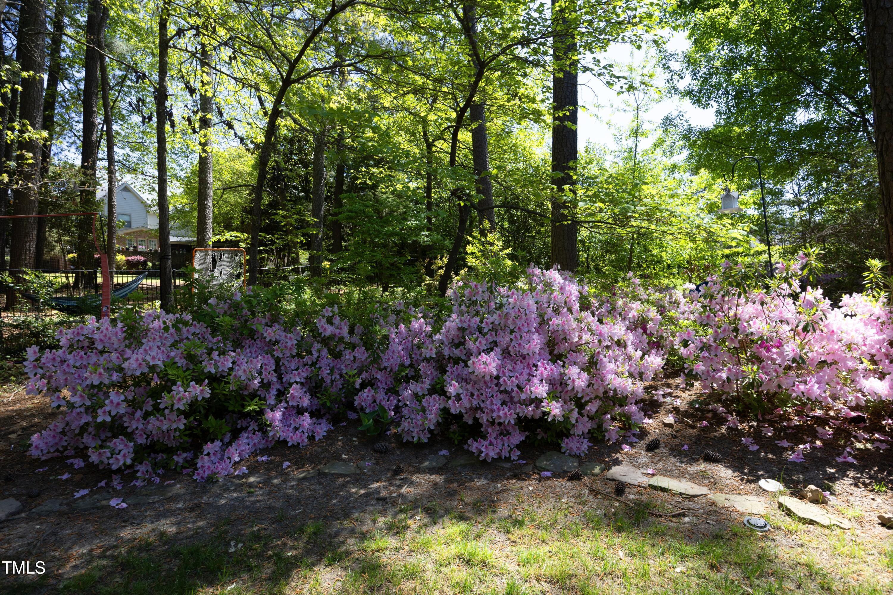 Photo #46