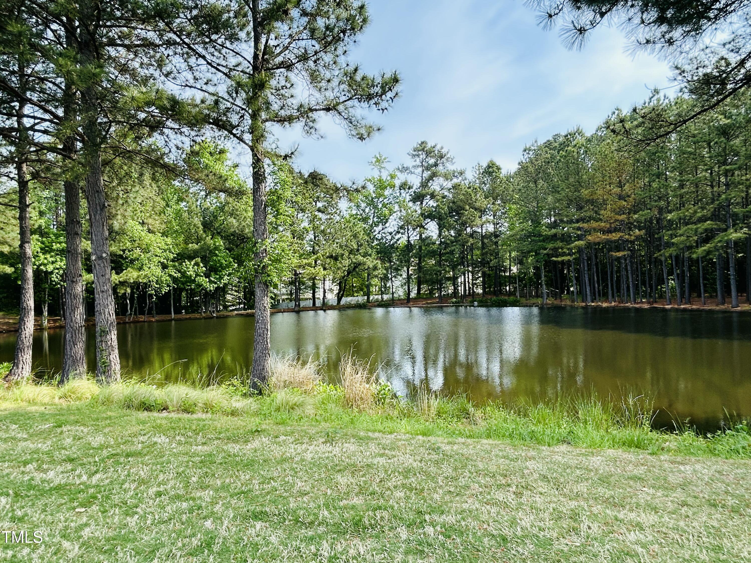 Photo #41