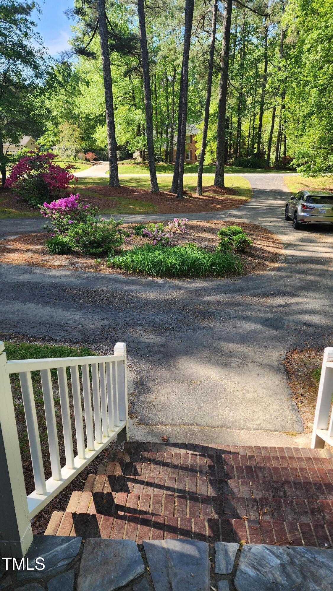 Photo #4