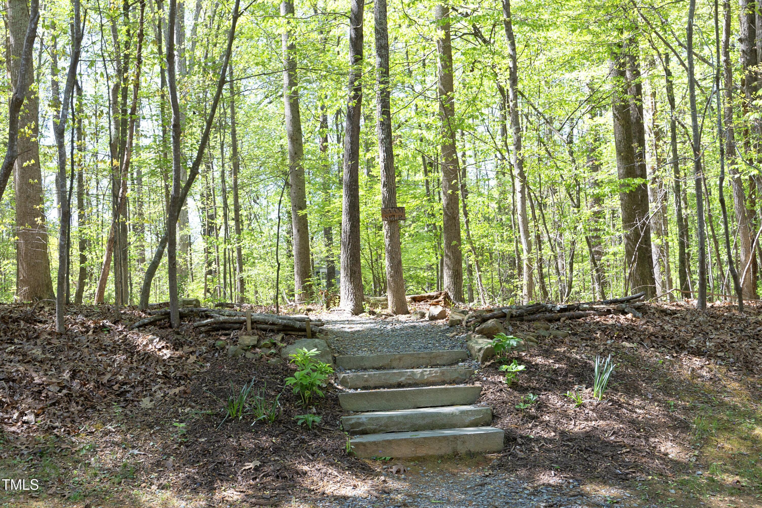 Photo #41