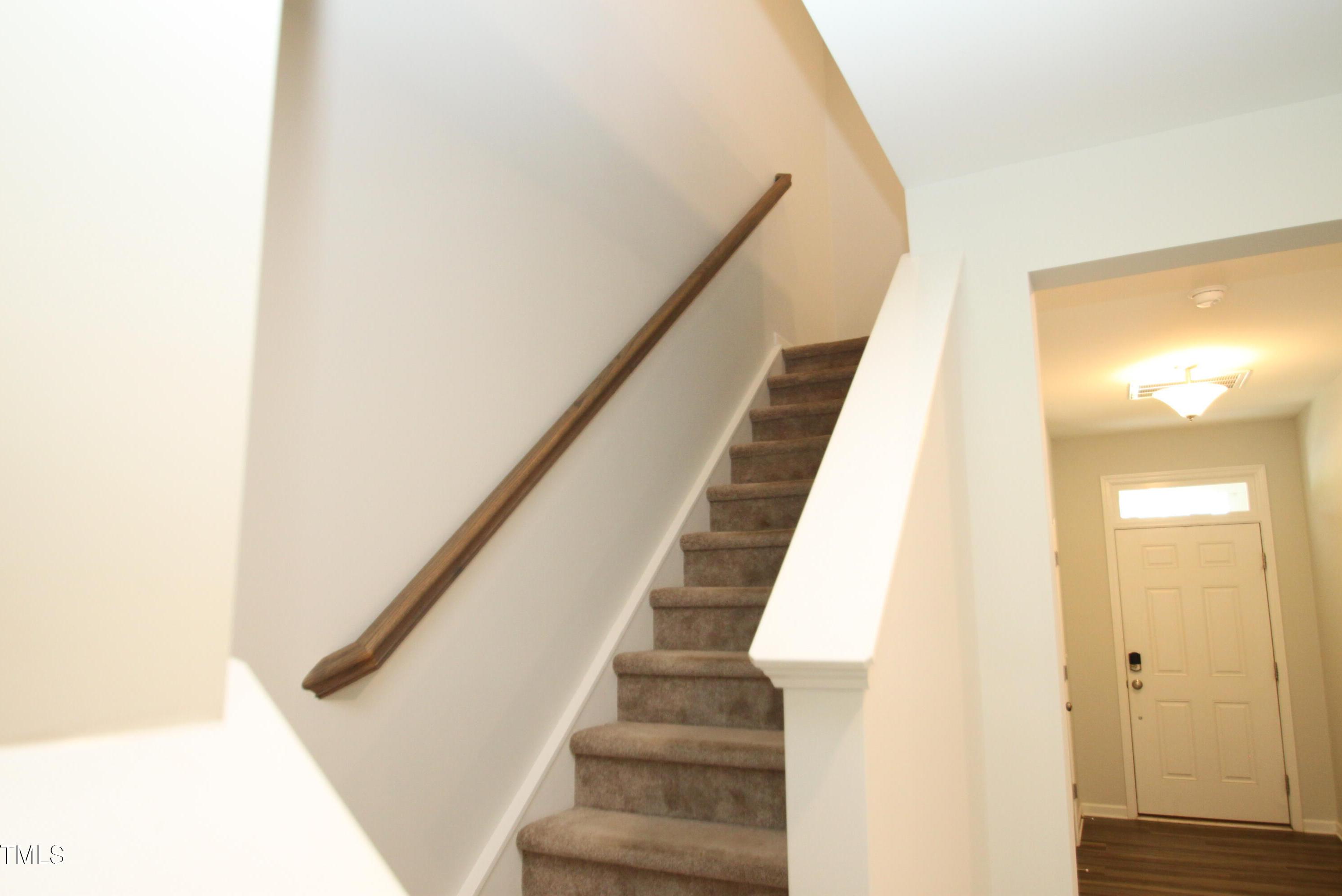 Photo #14