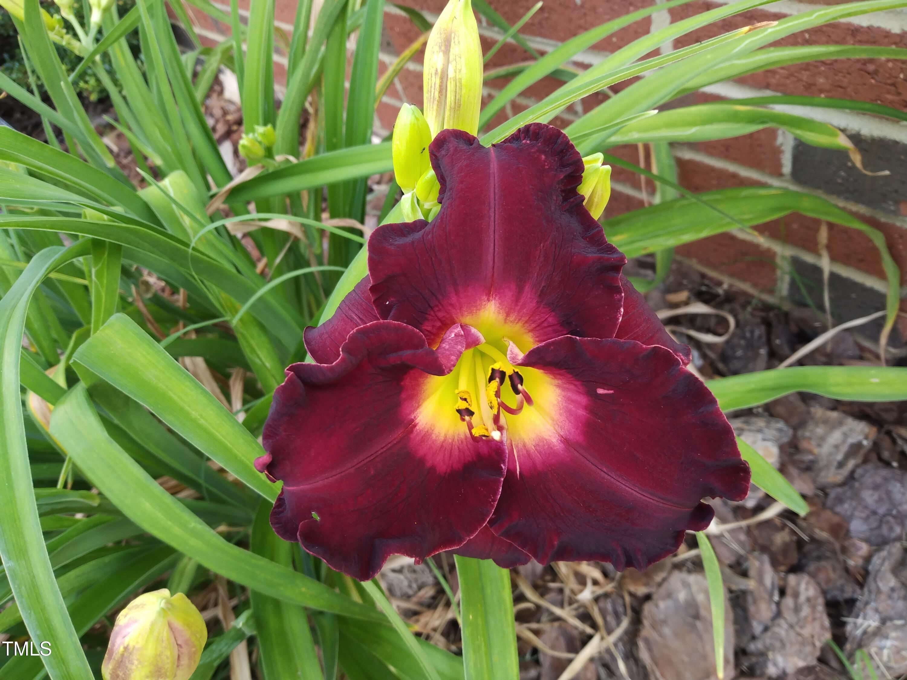 Photo #28