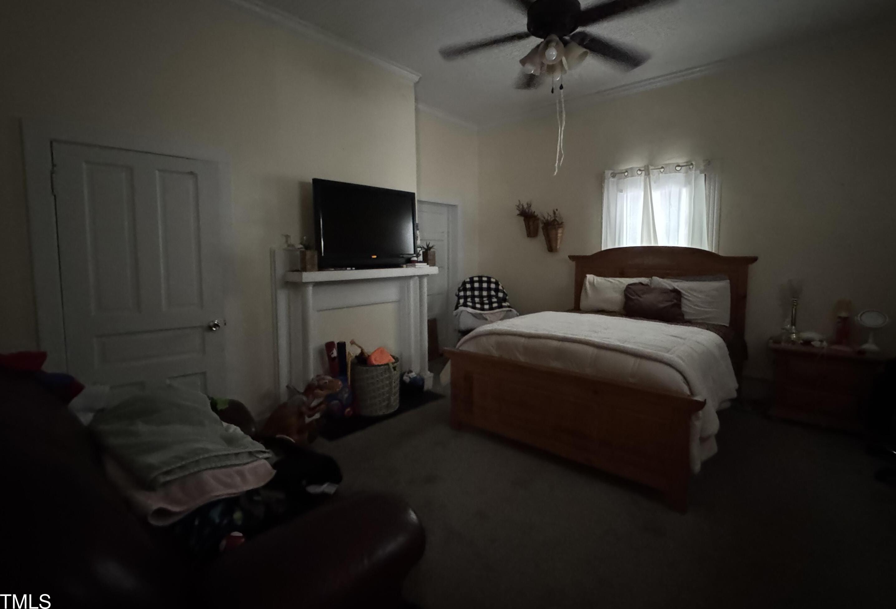 Photo #6