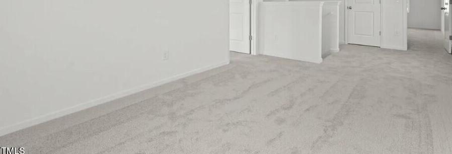 Photo #11