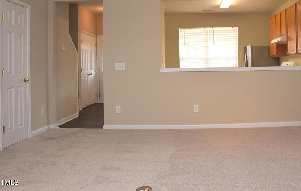 Photo #12