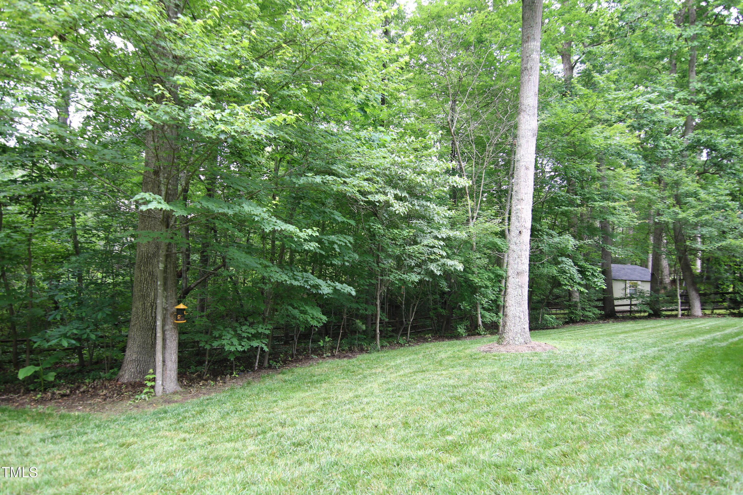Photo #43